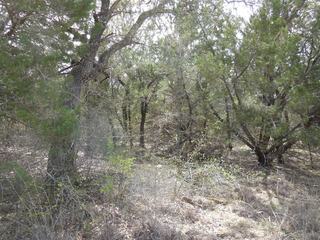 Lot 3-4 Southview Lane Eastland TX 76448