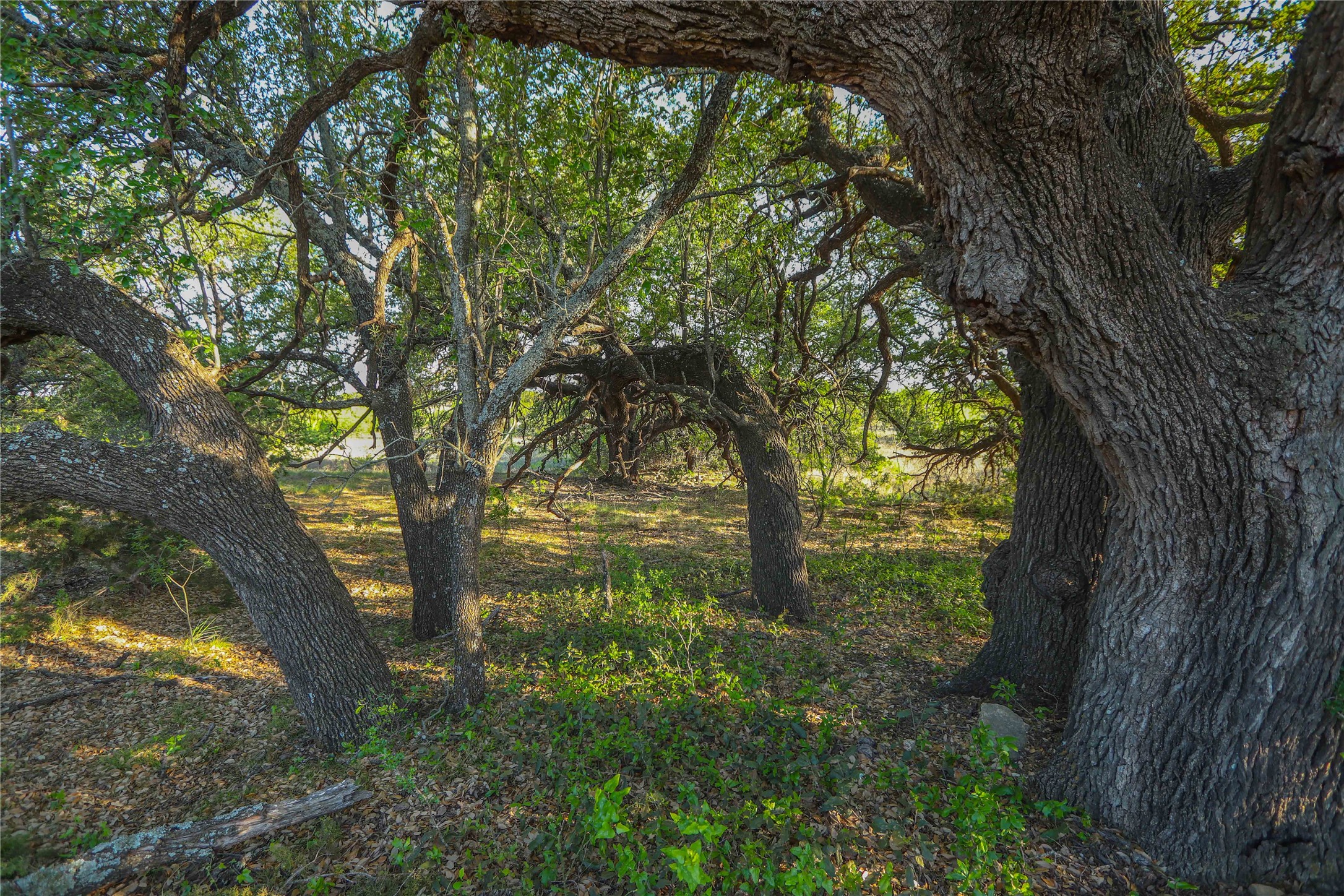 Tbd Cr 404 Valera TX 76884
