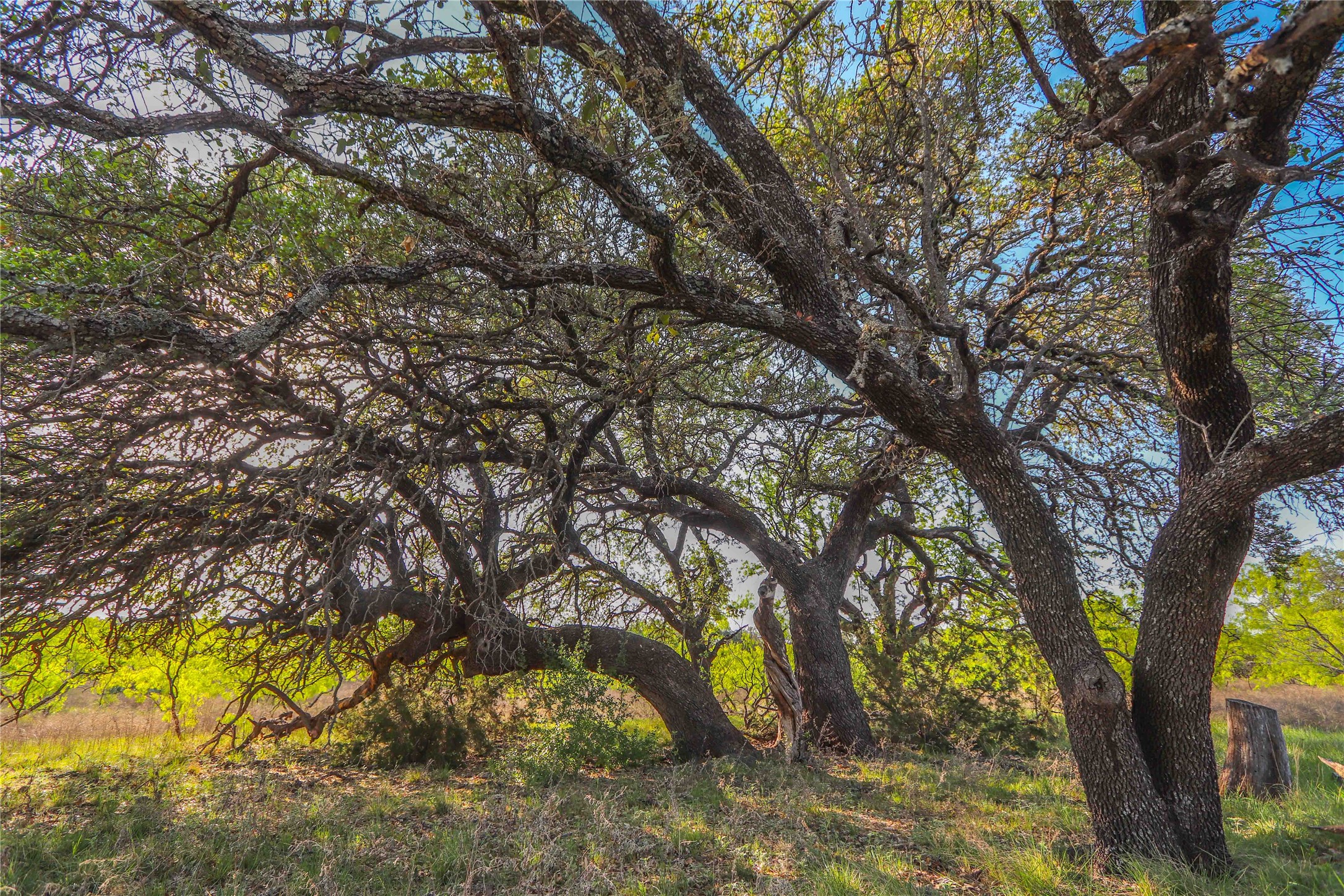 Tbd Cr 404 Valera TX 76884