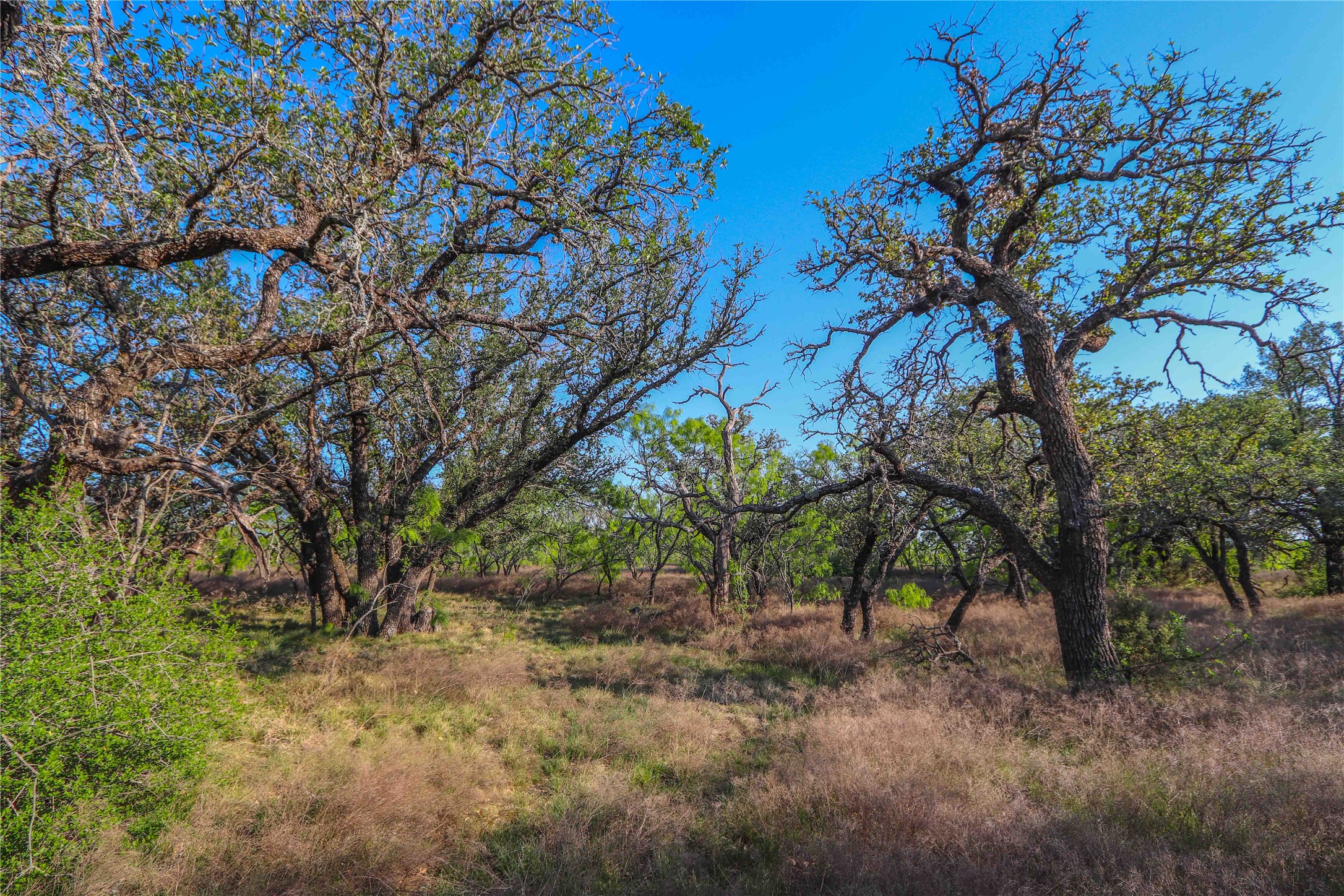 Tbd Cr 404 Valera TX 76884