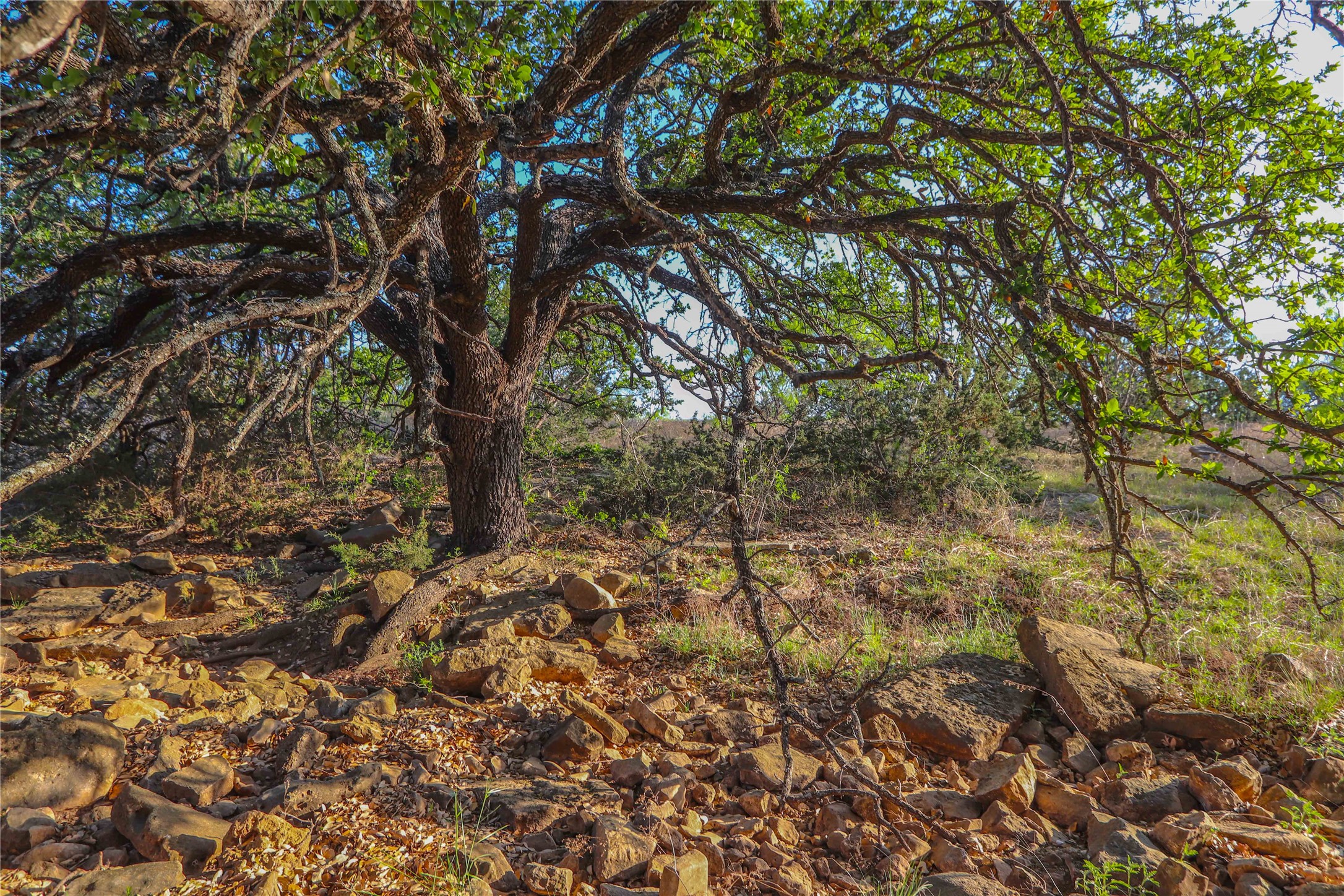 Tbd Cr 404 Valera TX 76884