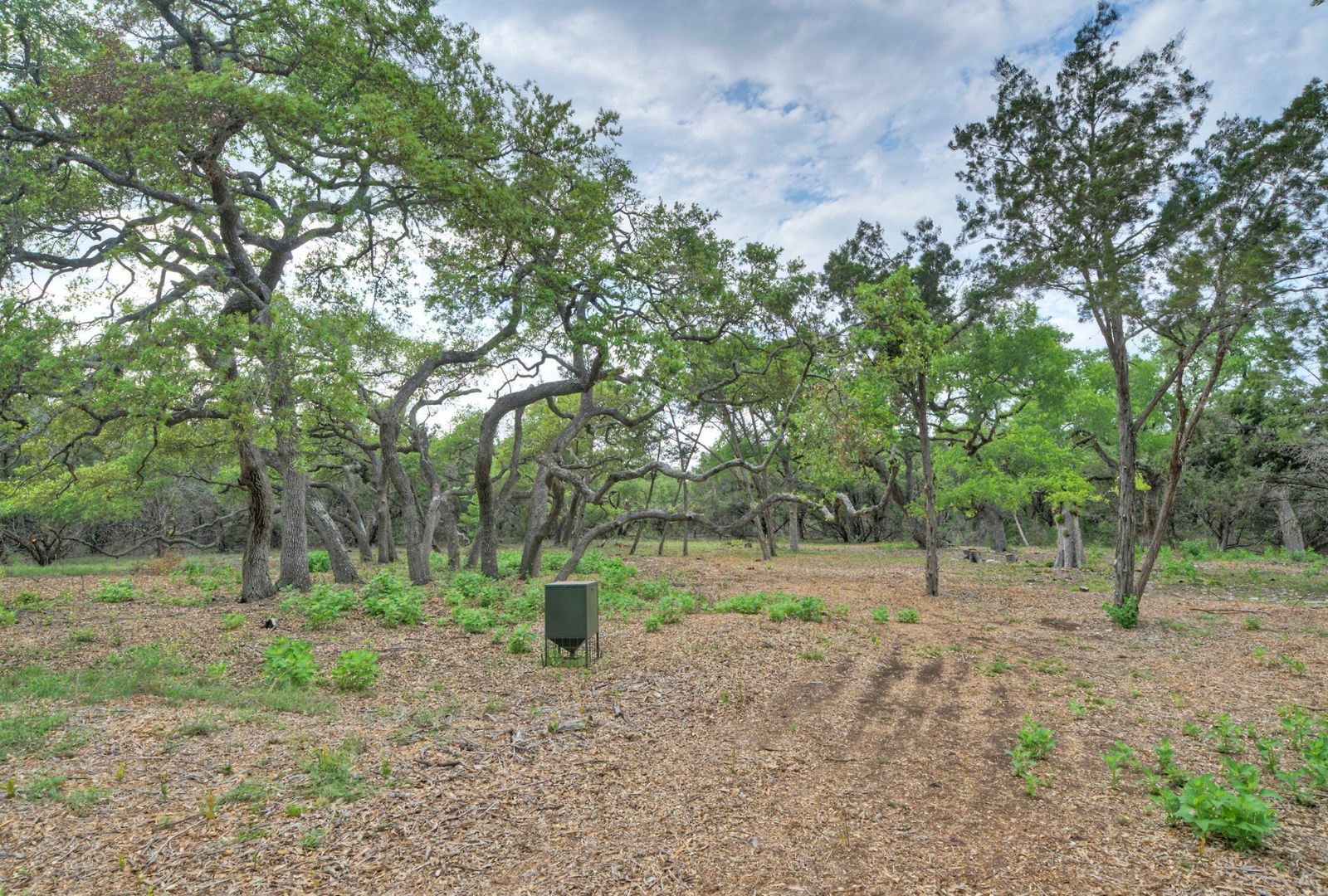 11916 Jim Bridger Drive Austin TX 78737