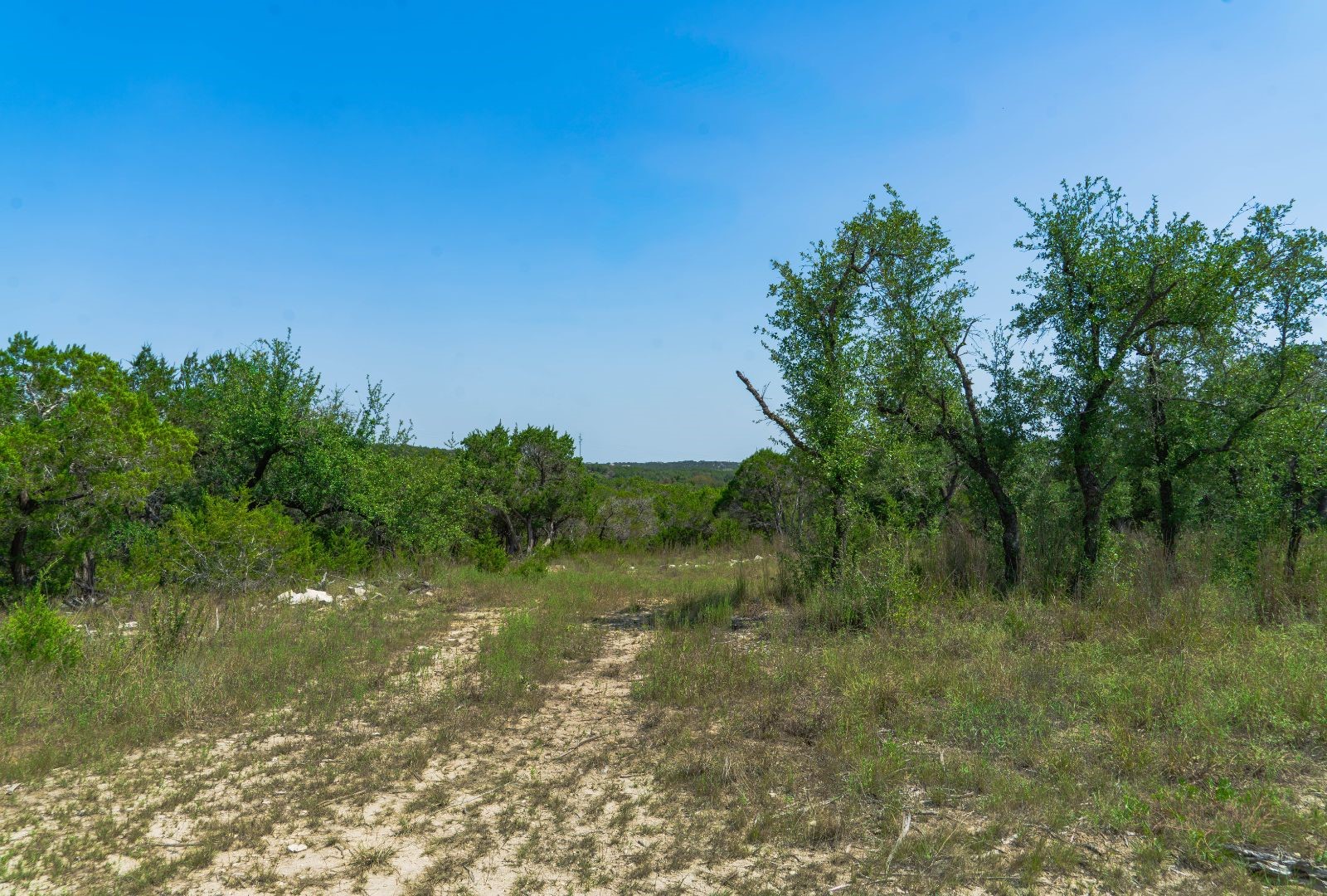 11916 Jim Bridger Drive Austin TX 78737