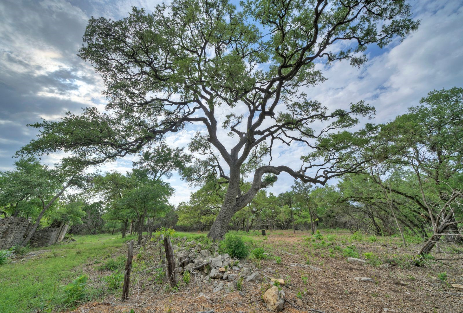 11916 Jim Bridger Drive Austin TX 78737