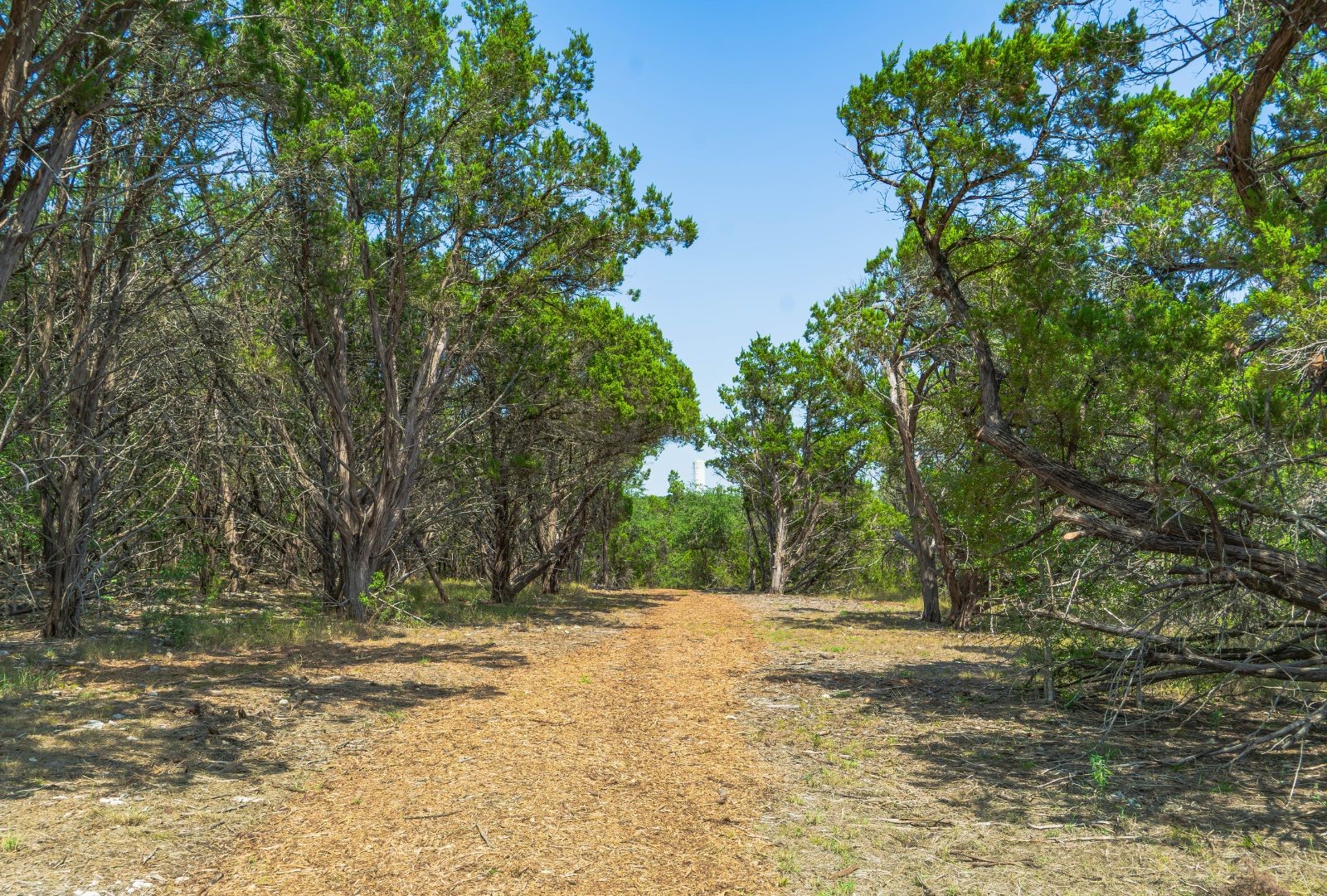 11916 Jim Bridger Drive Austin TX 78737