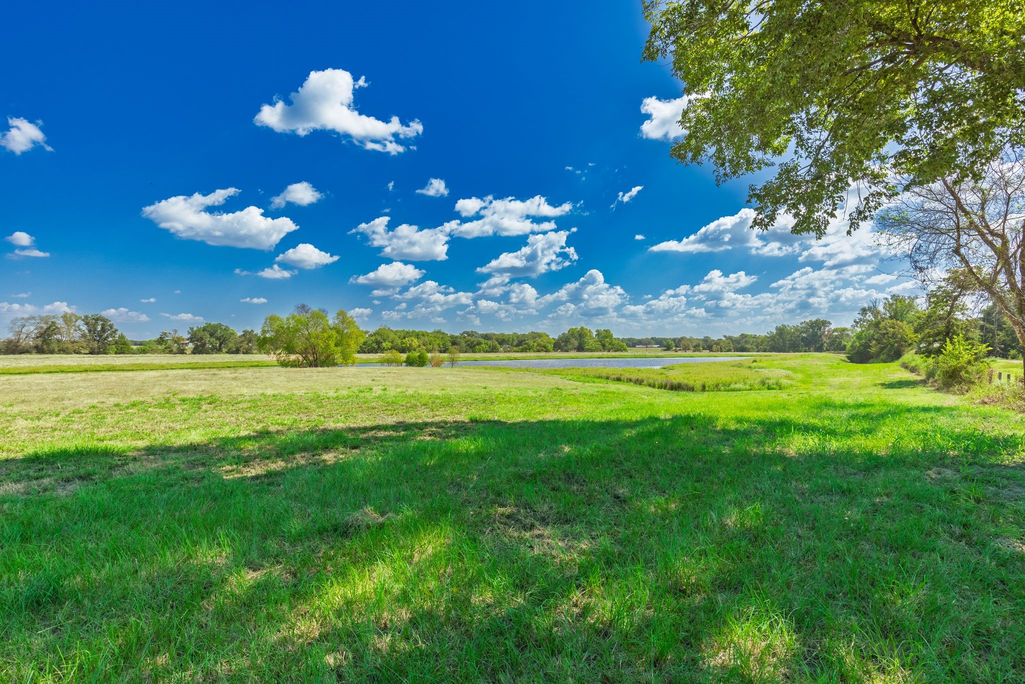 31 Acres Texas Highway 19 S Brashear TX 75420