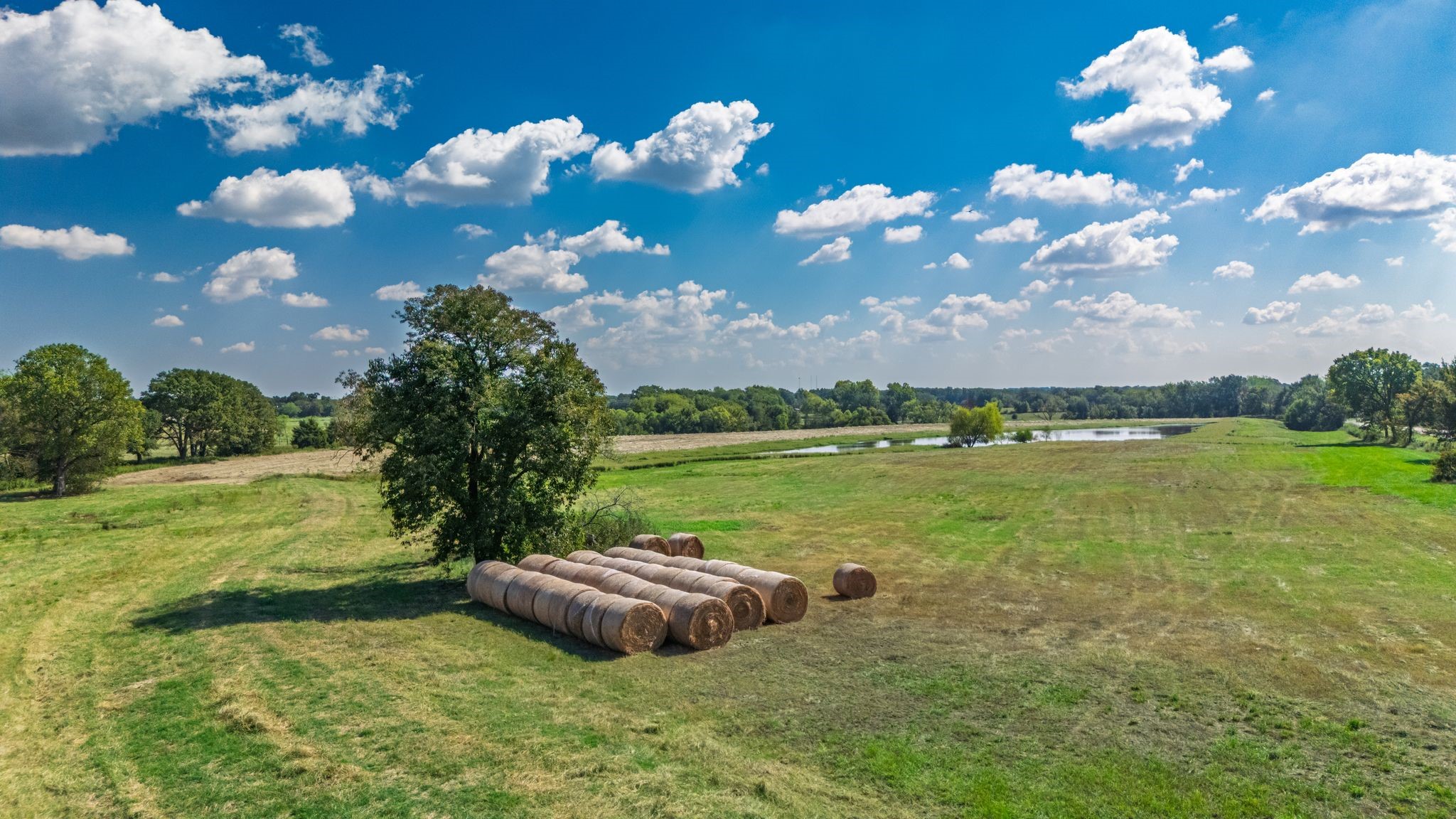 31 Acres Texas Highway 19 S Brashear TX 75420