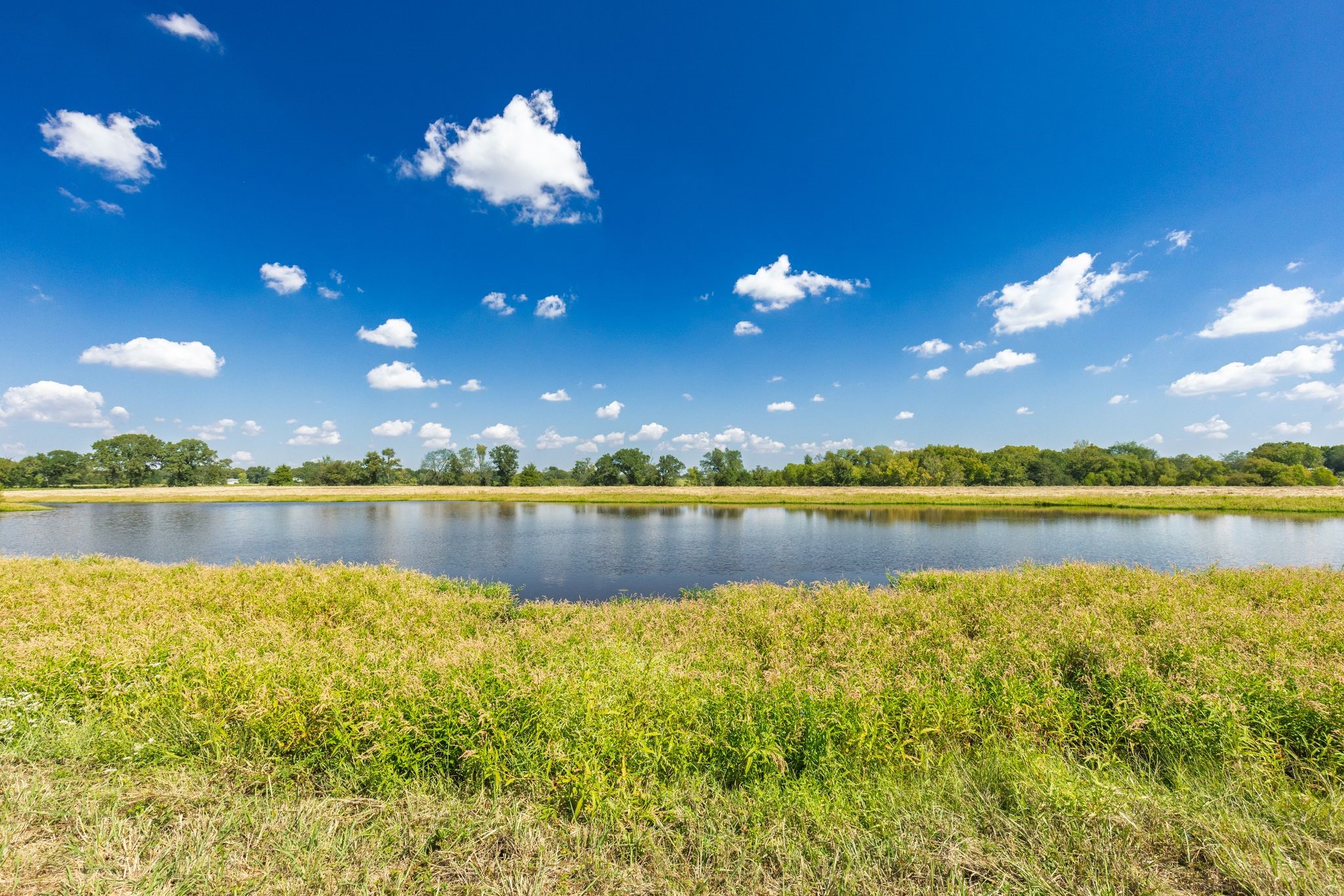 31 Acres Texas Highway 19 S Brashear TX 75420