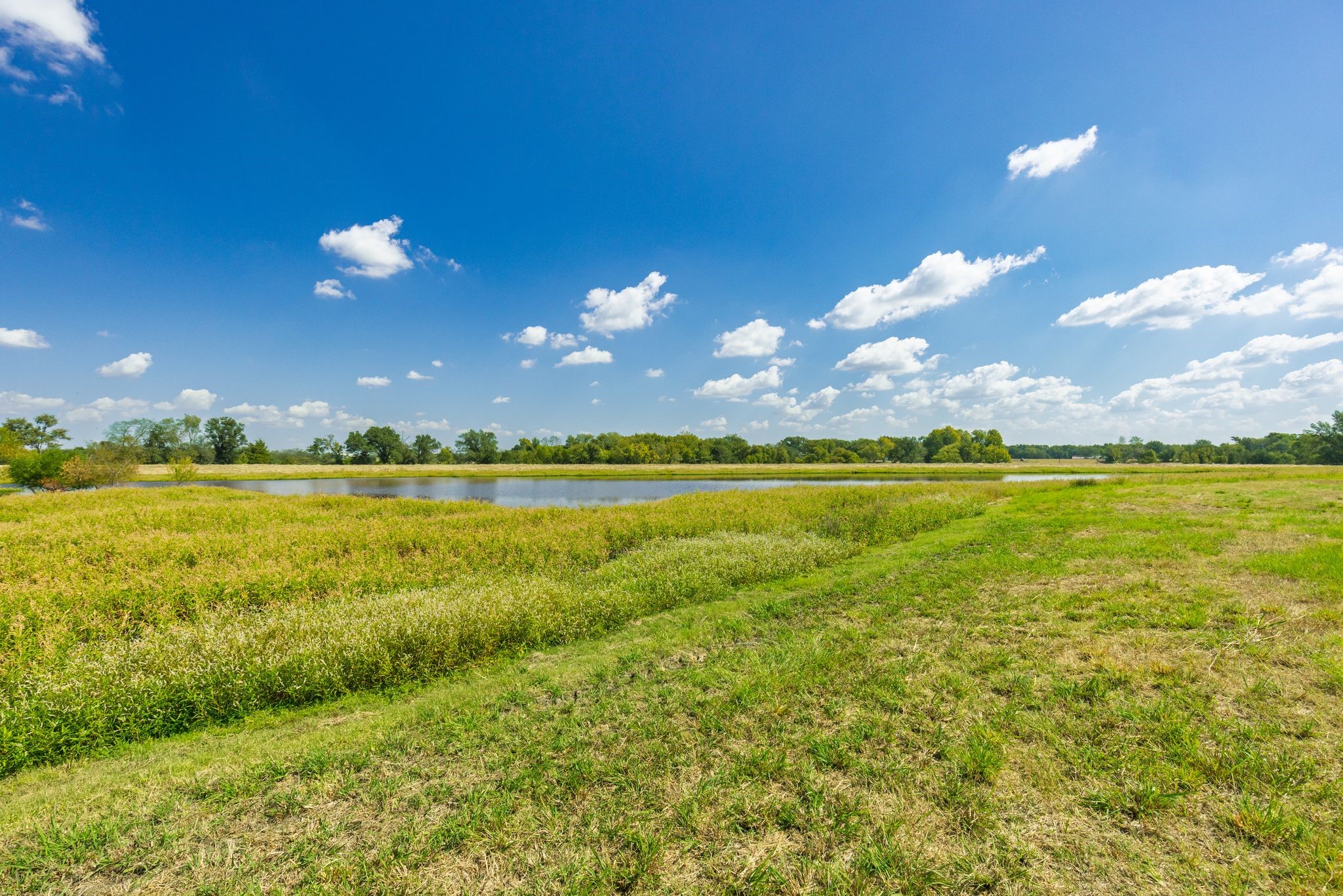 31 Acres Texas Highway 19 S Brashear TX 75420