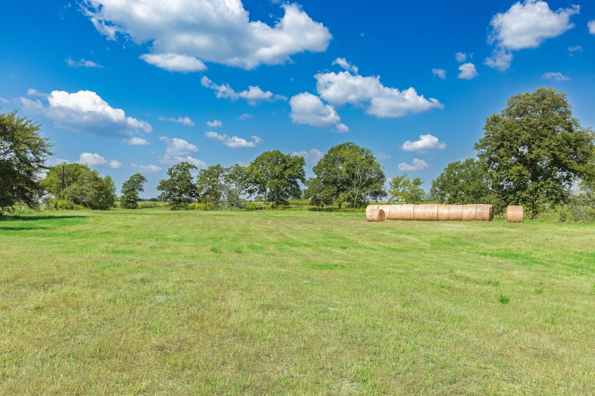 31 Acres Texas Highway 19 S Brashear TX 75420