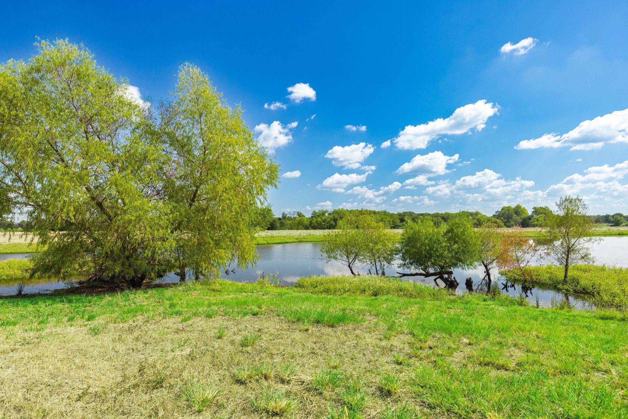 31 Acres Texas Highway 19 S Brashear TX 75420