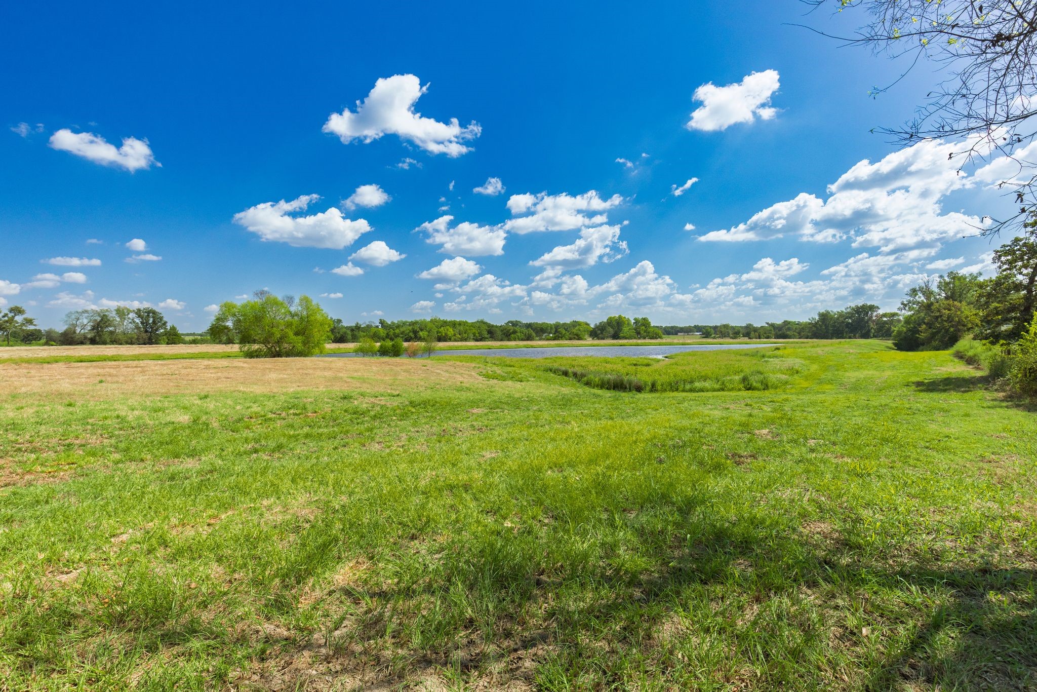 31 Acres Texas Highway 19 S Brashear TX 75420