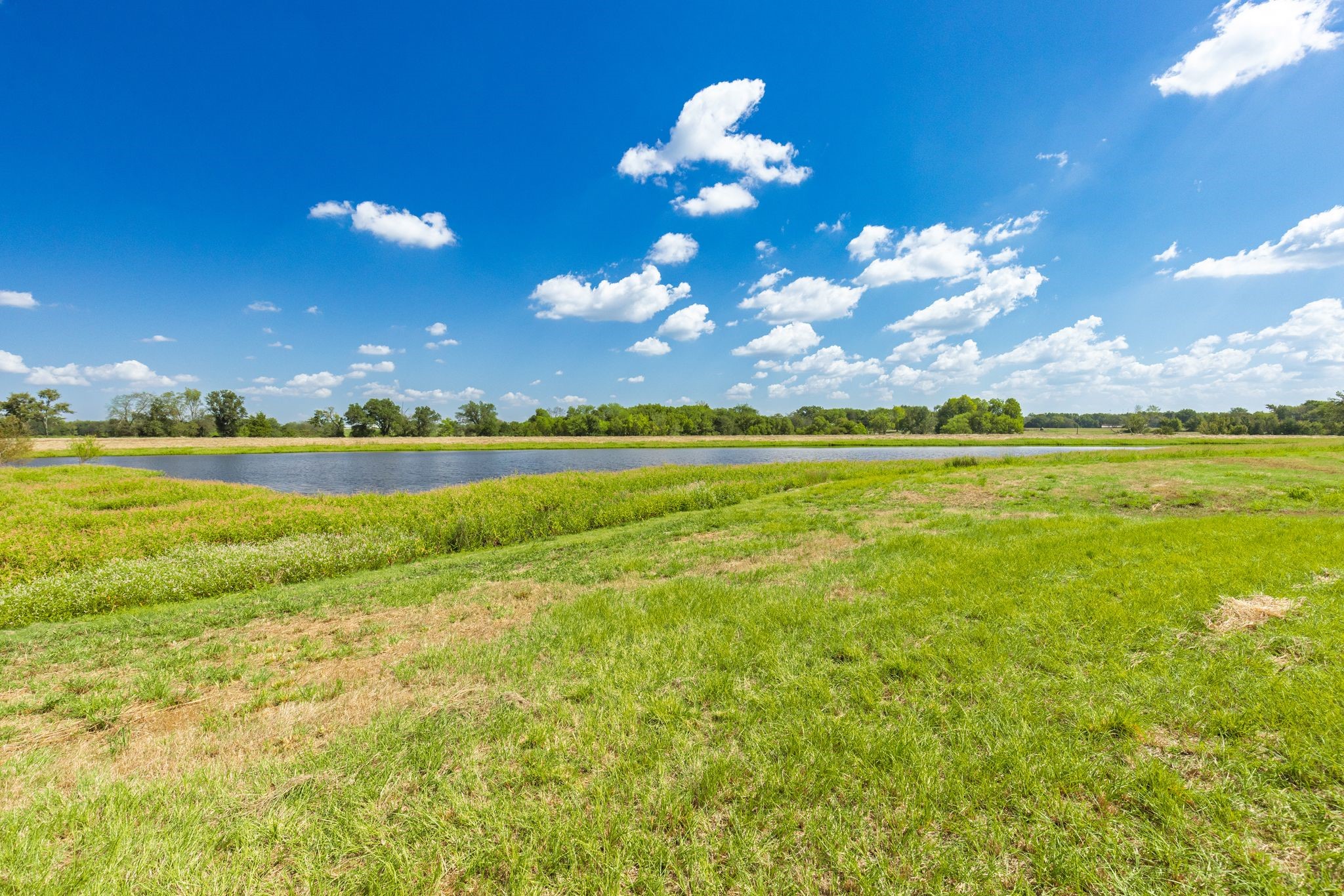 31 Acres Texas Highway 19 S Brashear TX 75420