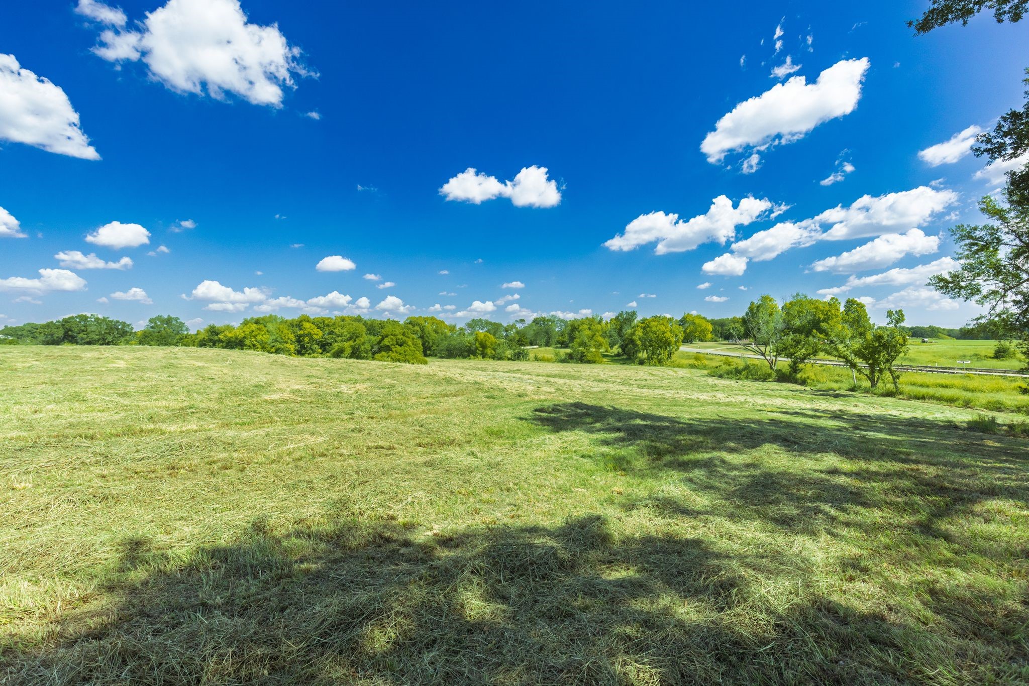 31 Acres Texas Highway 19 S Brashear TX 75420