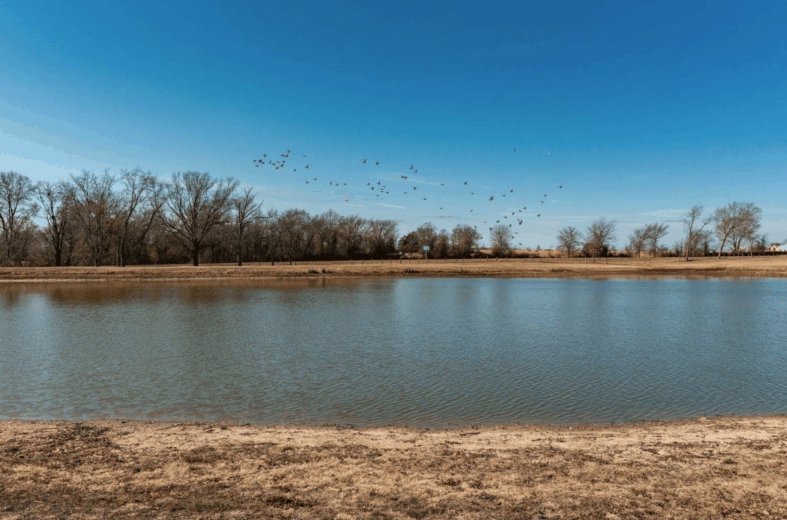 31 Acres Texas Highway 19 S Brashear TX 75420
