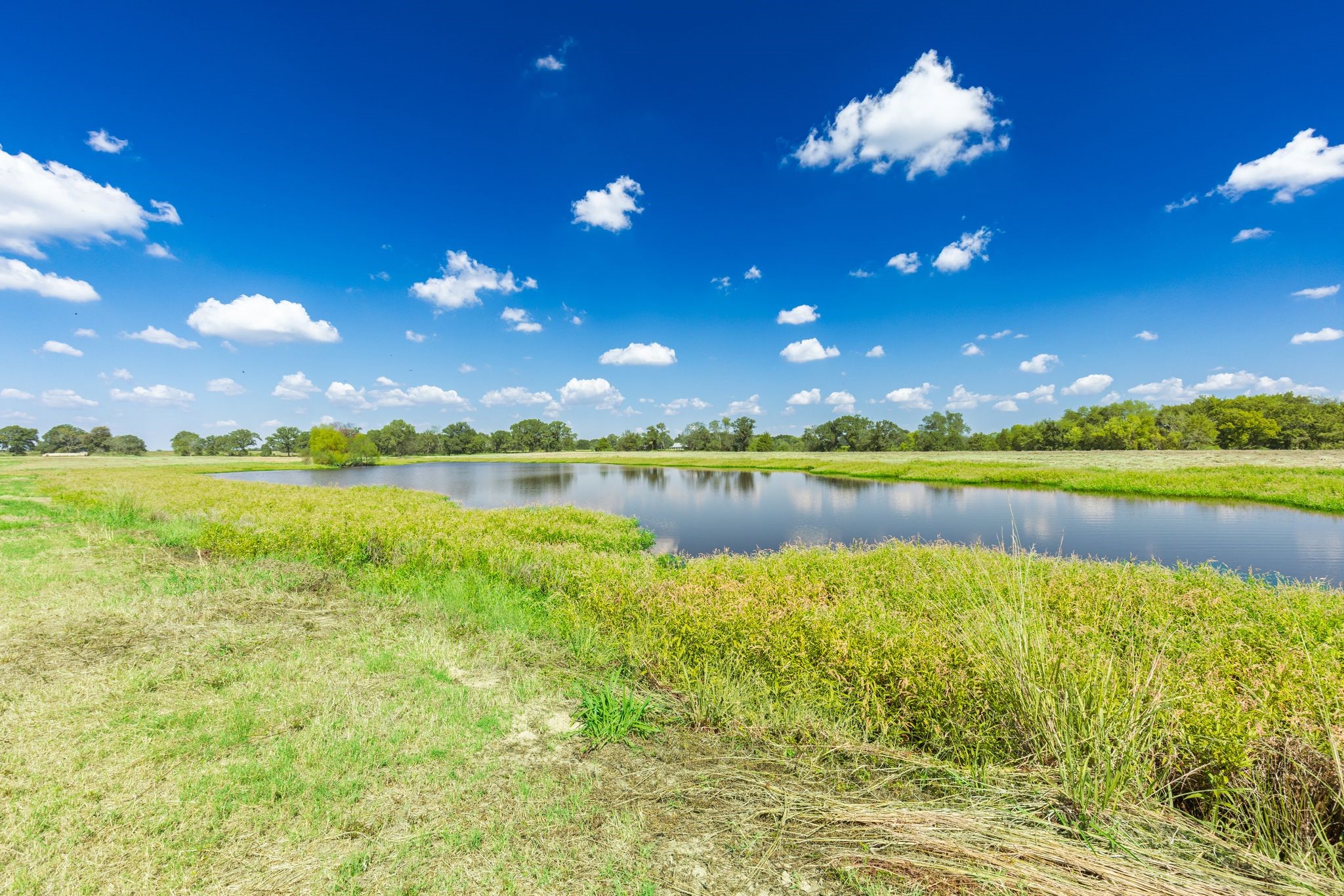 31 Acres Texas Highway 19 S Brashear TX 75420