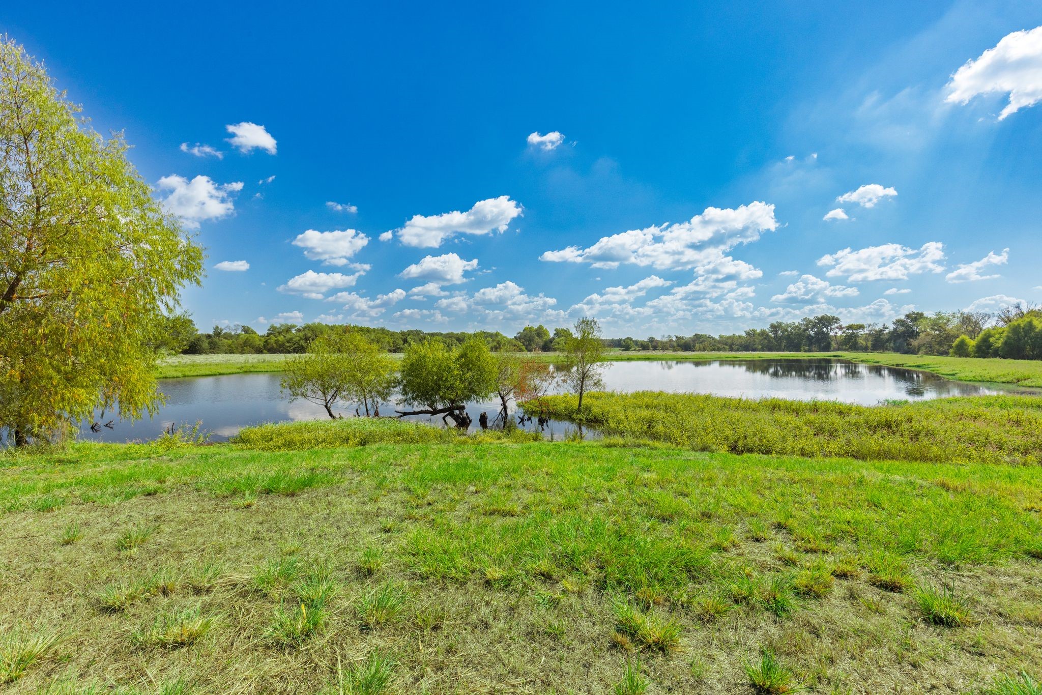 31 Acres Texas Highway 19 S Brashear TX 75420