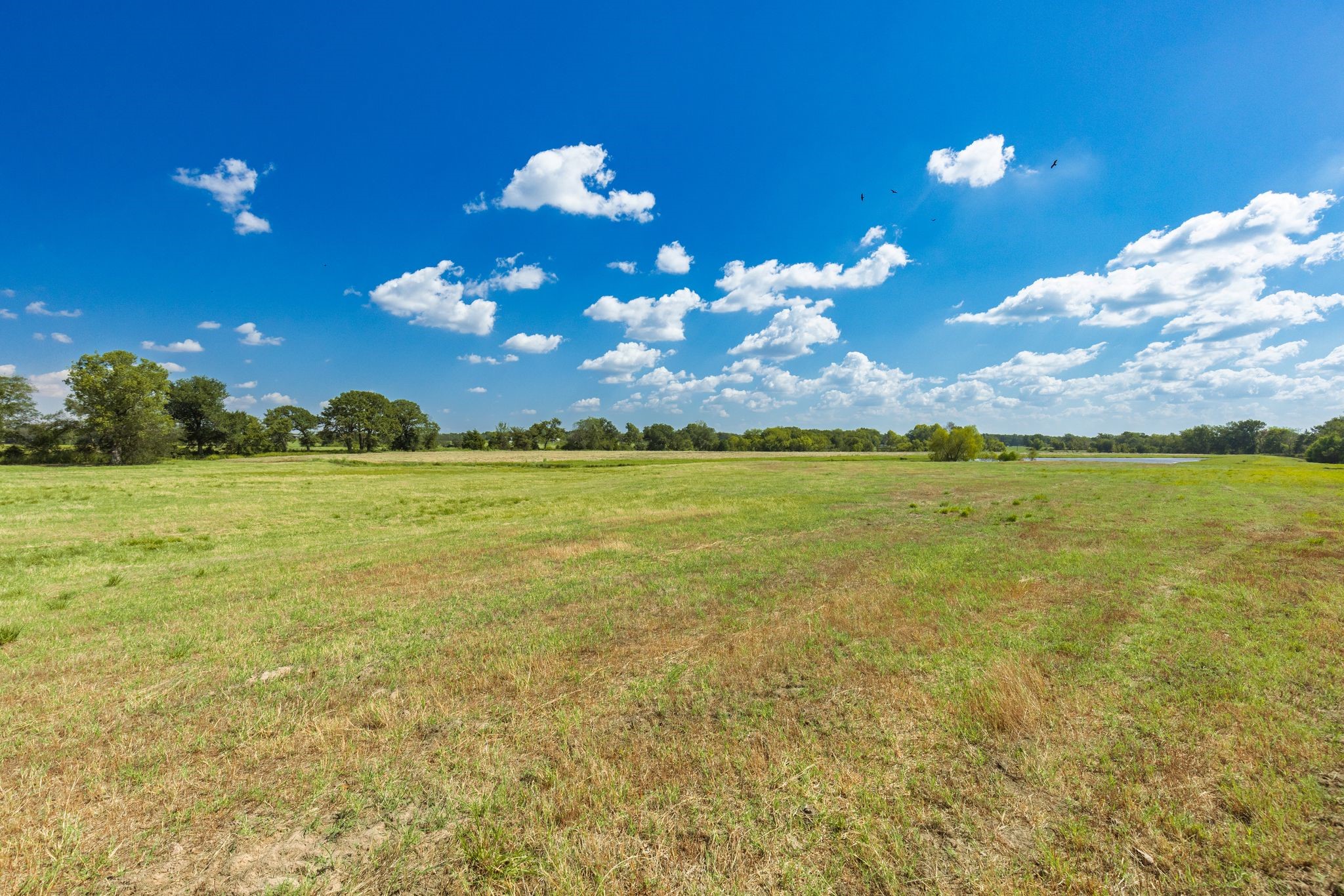 31 Acres Texas Highway 19 S Brashear TX 75420