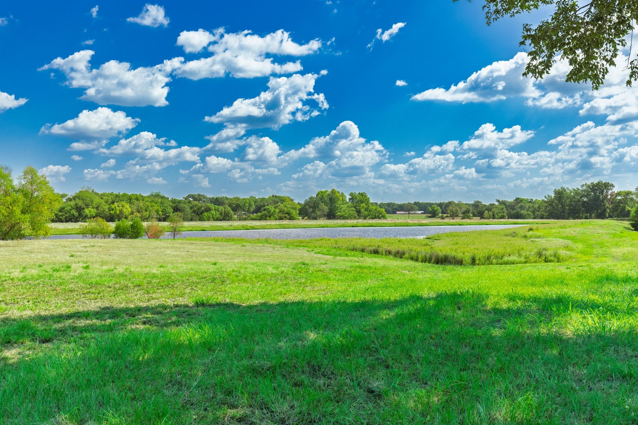 31 Acres Texas Highway 19 S Brashear TX 75420