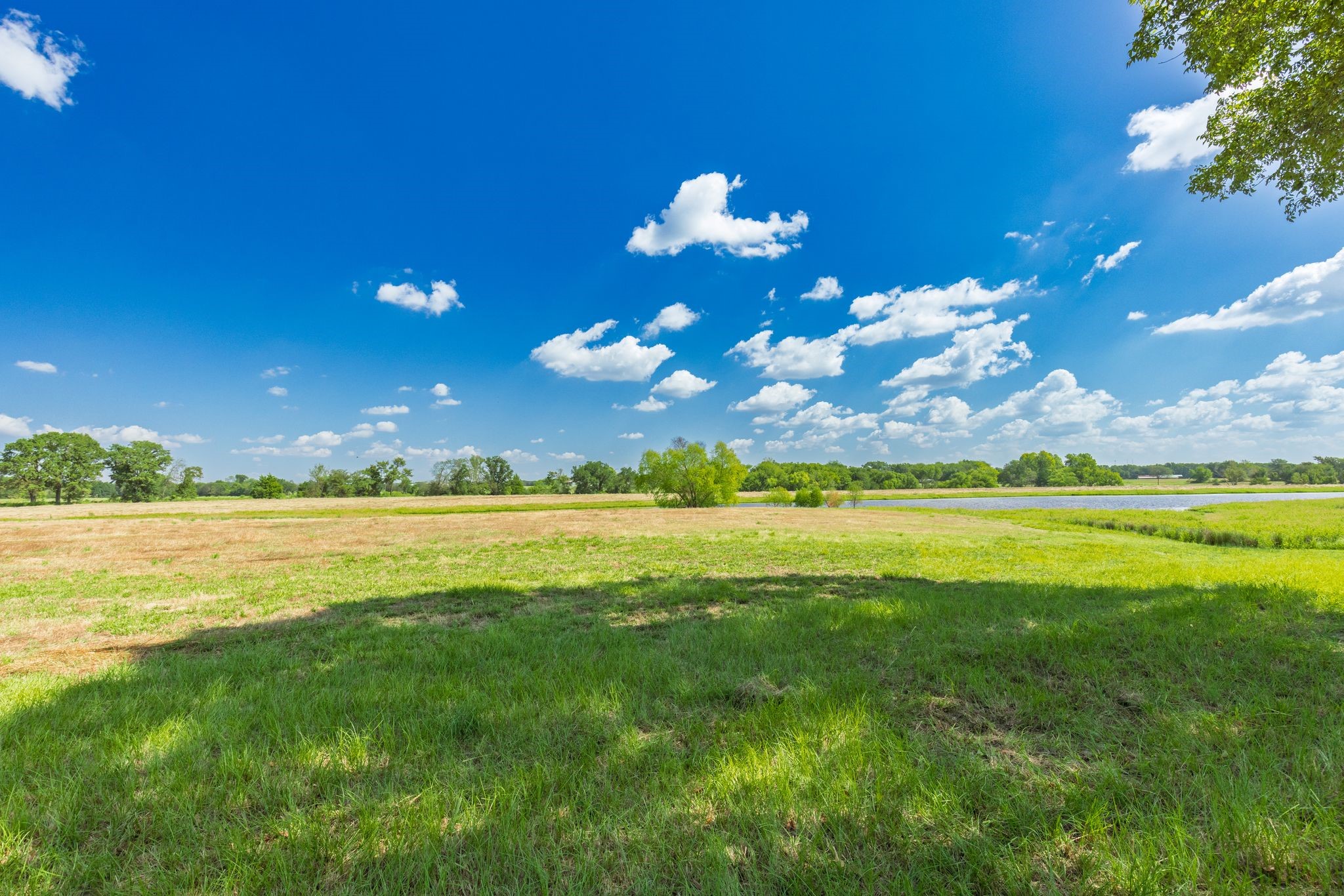 31 Acres Texas Highway 19 S Brashear TX 75420