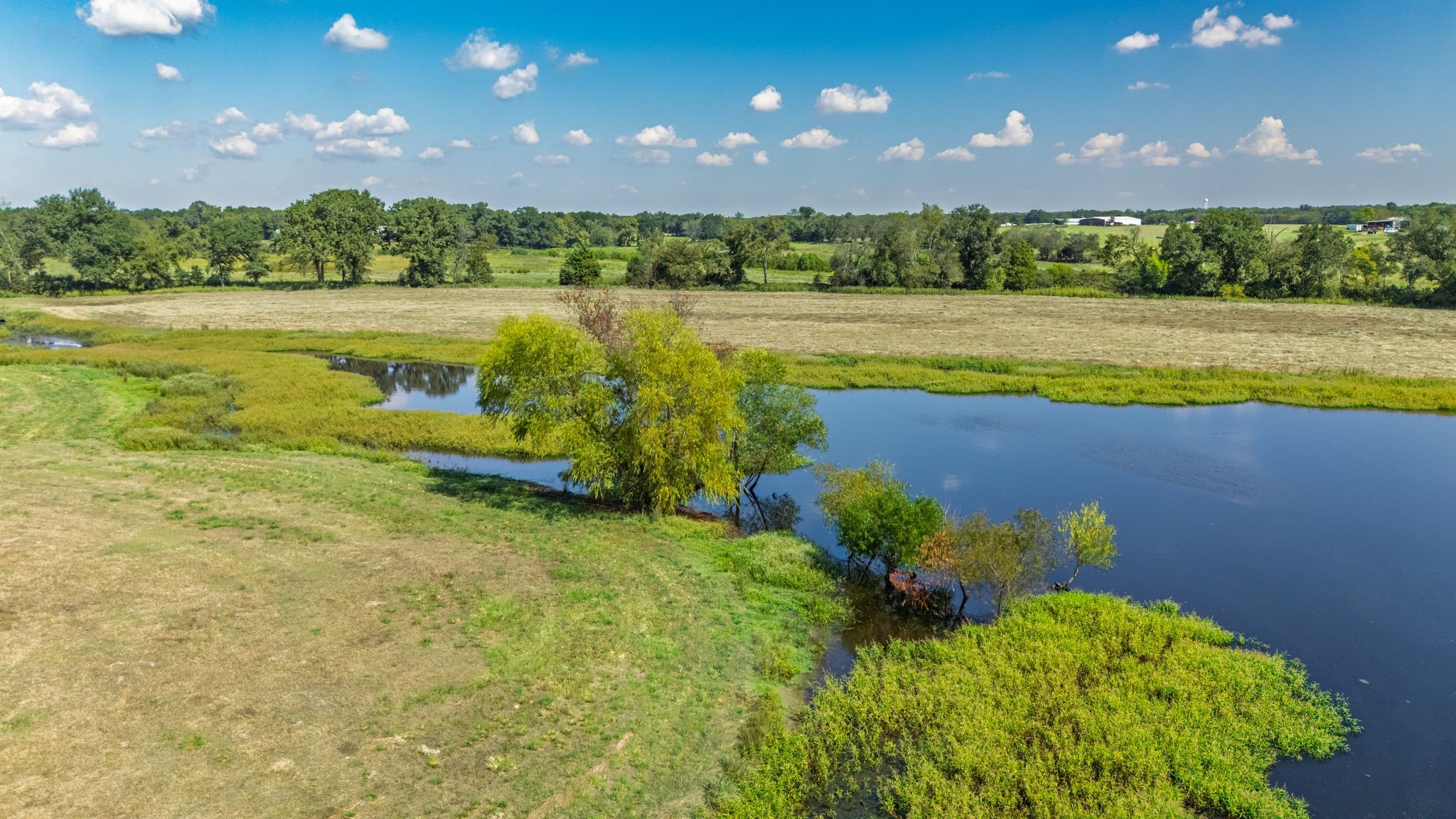 31 Acres Texas Highway 19 S Brashear TX 75420