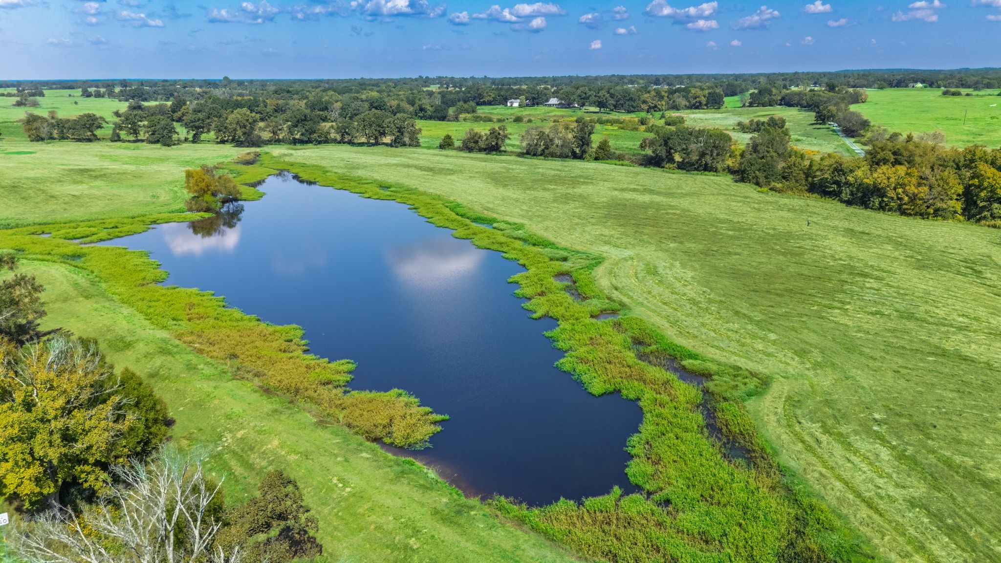 31 Acres Texas Highway 19 S Brashear TX 75420
