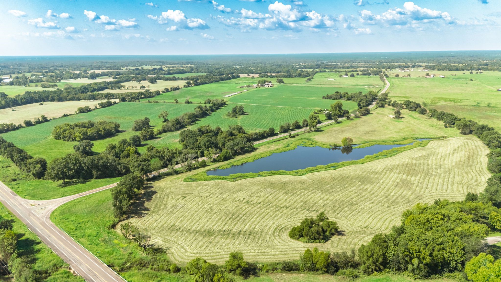 31 Acres Texas Highway 19 S Brashear TX 75420