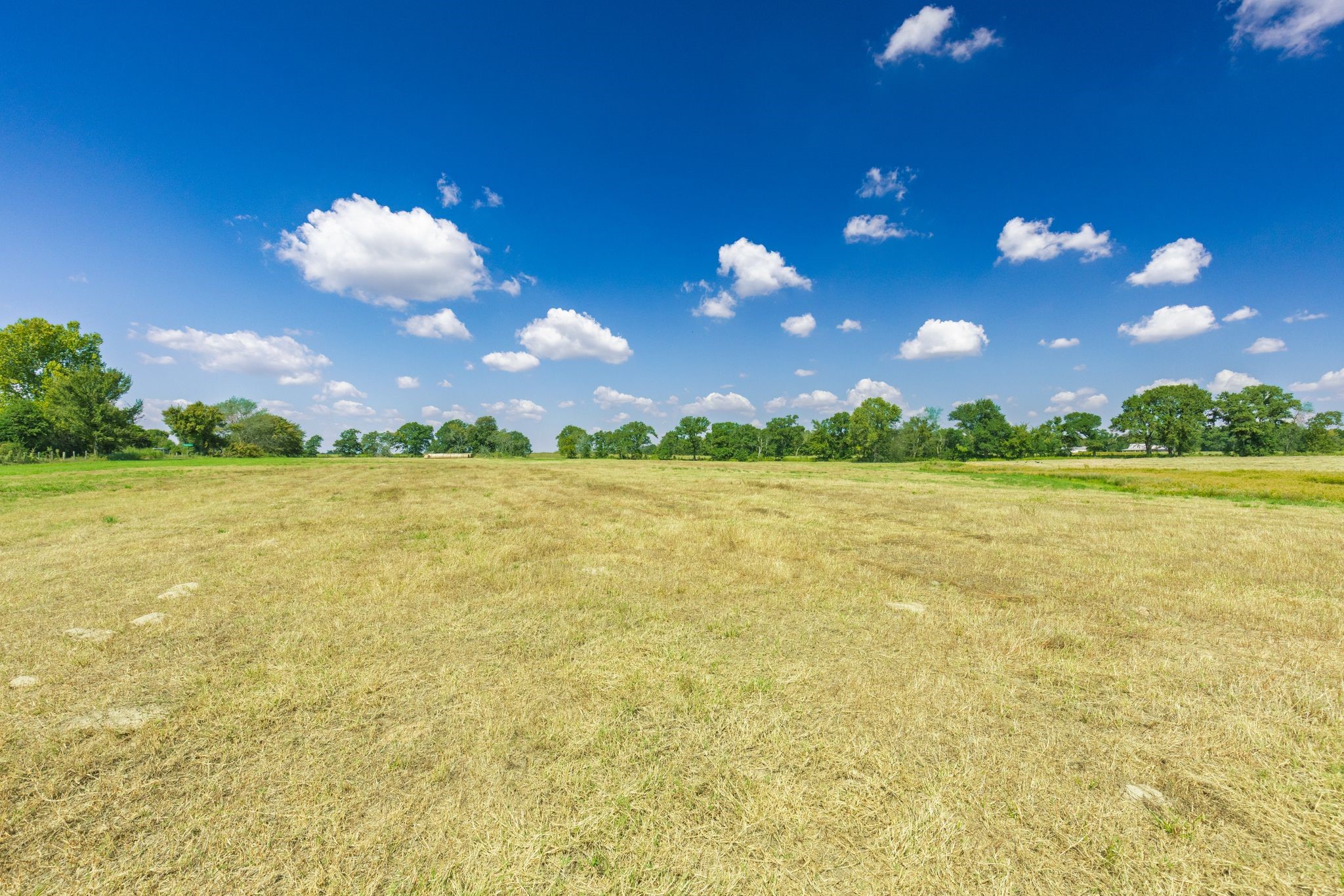 31 Acres Texas Highway 19 S Brashear TX 75420