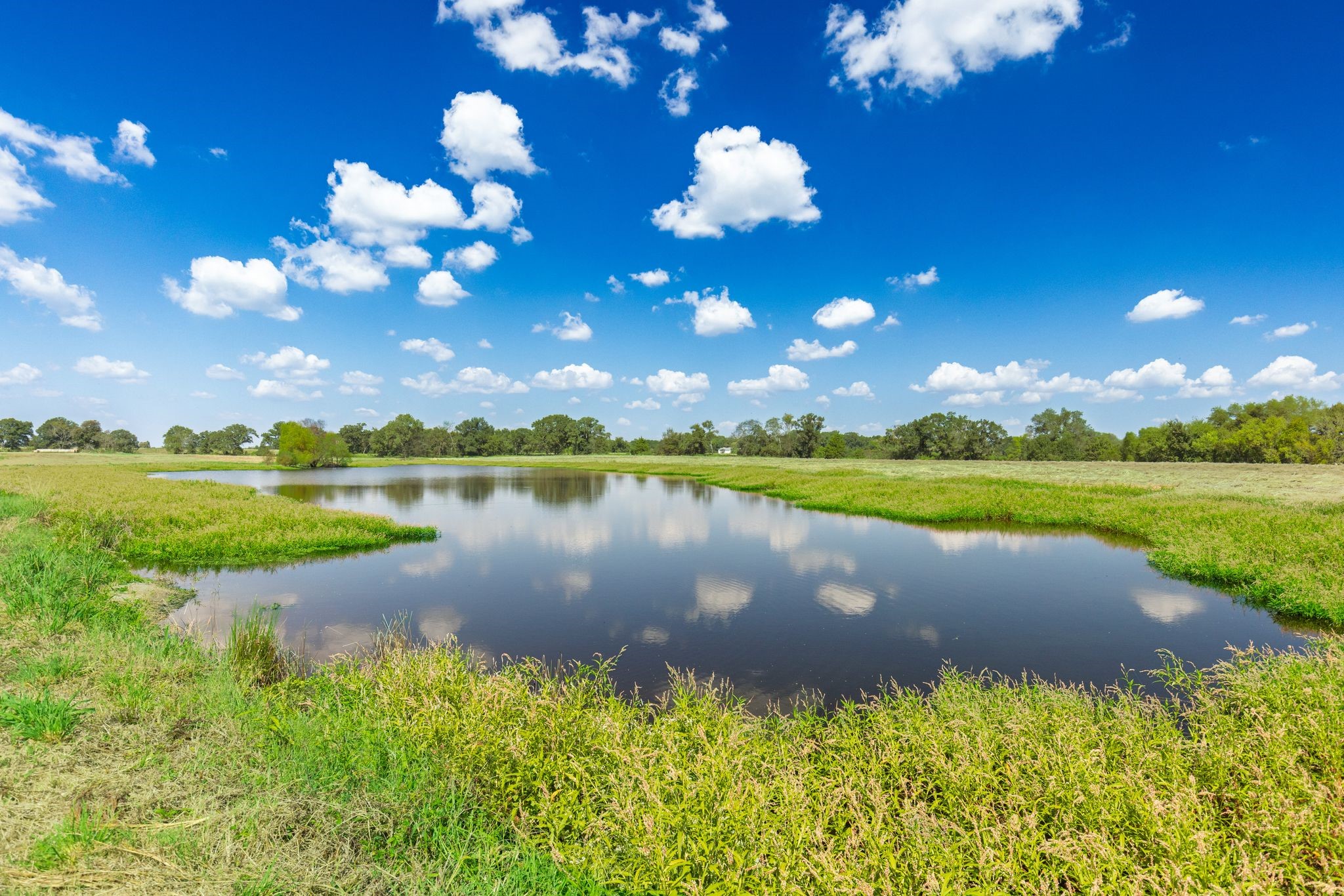 31 Acres Texas Highway 19 S Brashear TX 75420