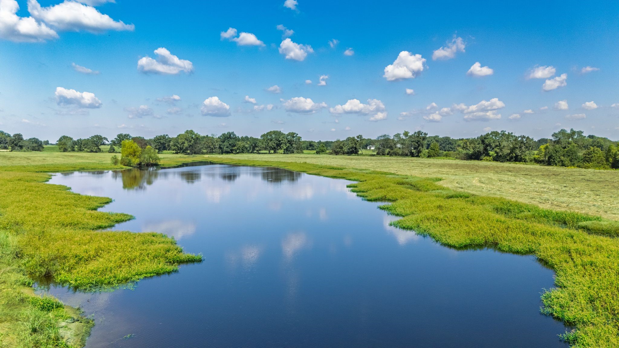 31 Acres Texas Highway 19 S Brashear TX 75420