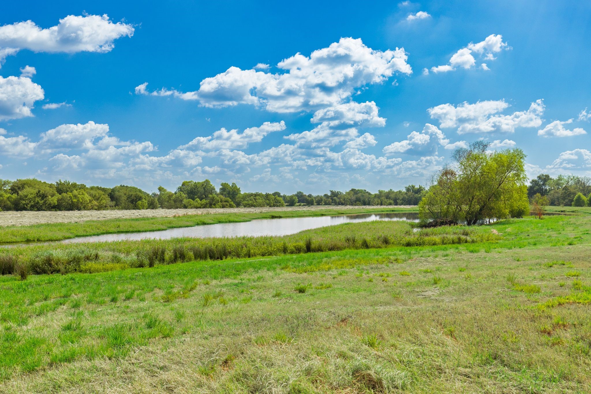 31 Acres Texas Highway 19 S Brashear TX 75420