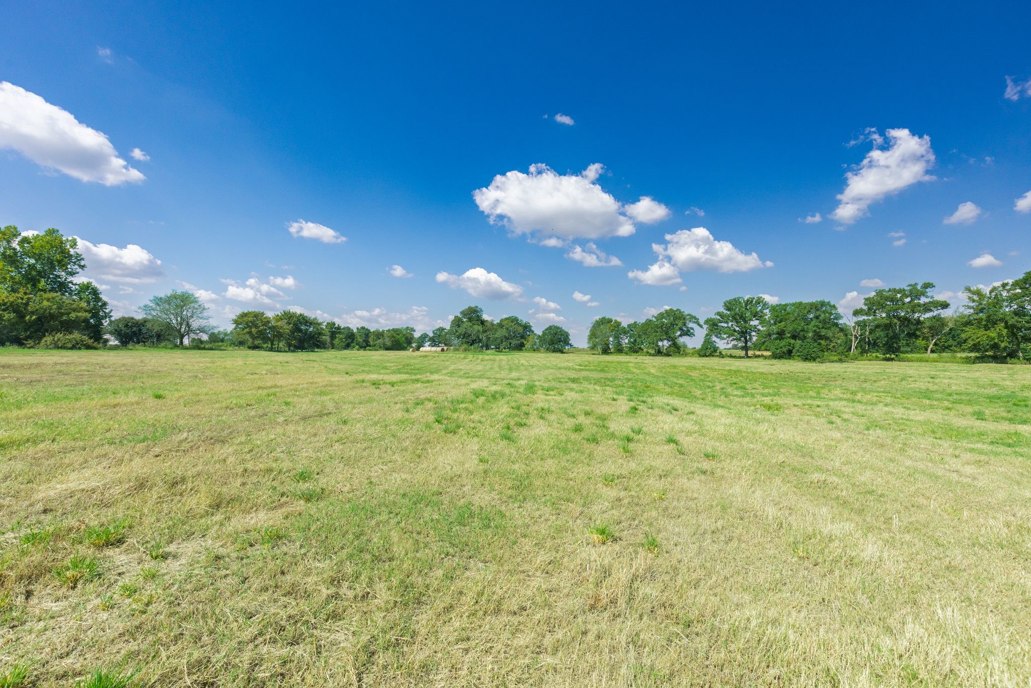 31 Acres Texas Highway 19 S Brashear TX 75420