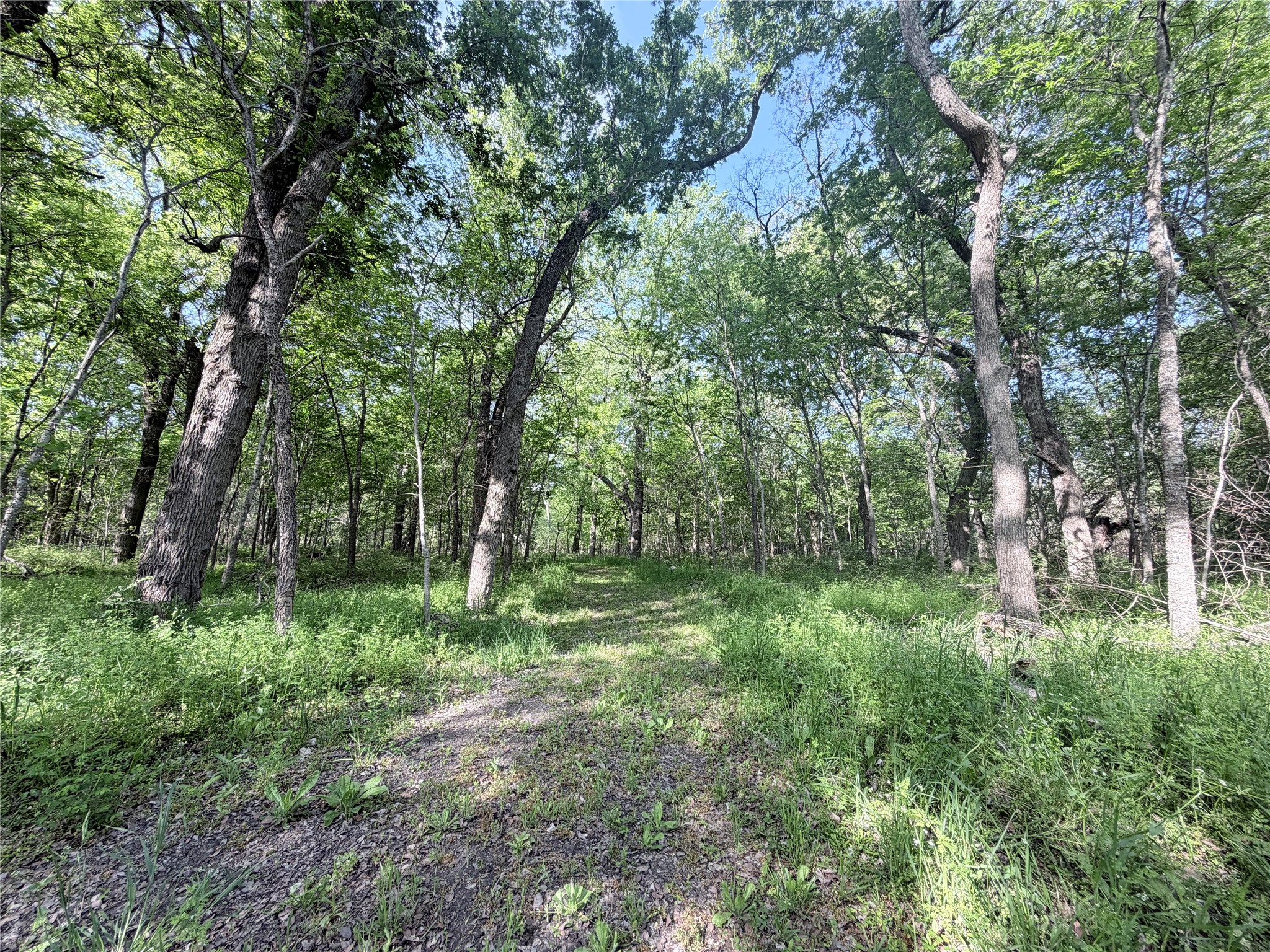 Tbd County Road 3204 Abbott TX 76621