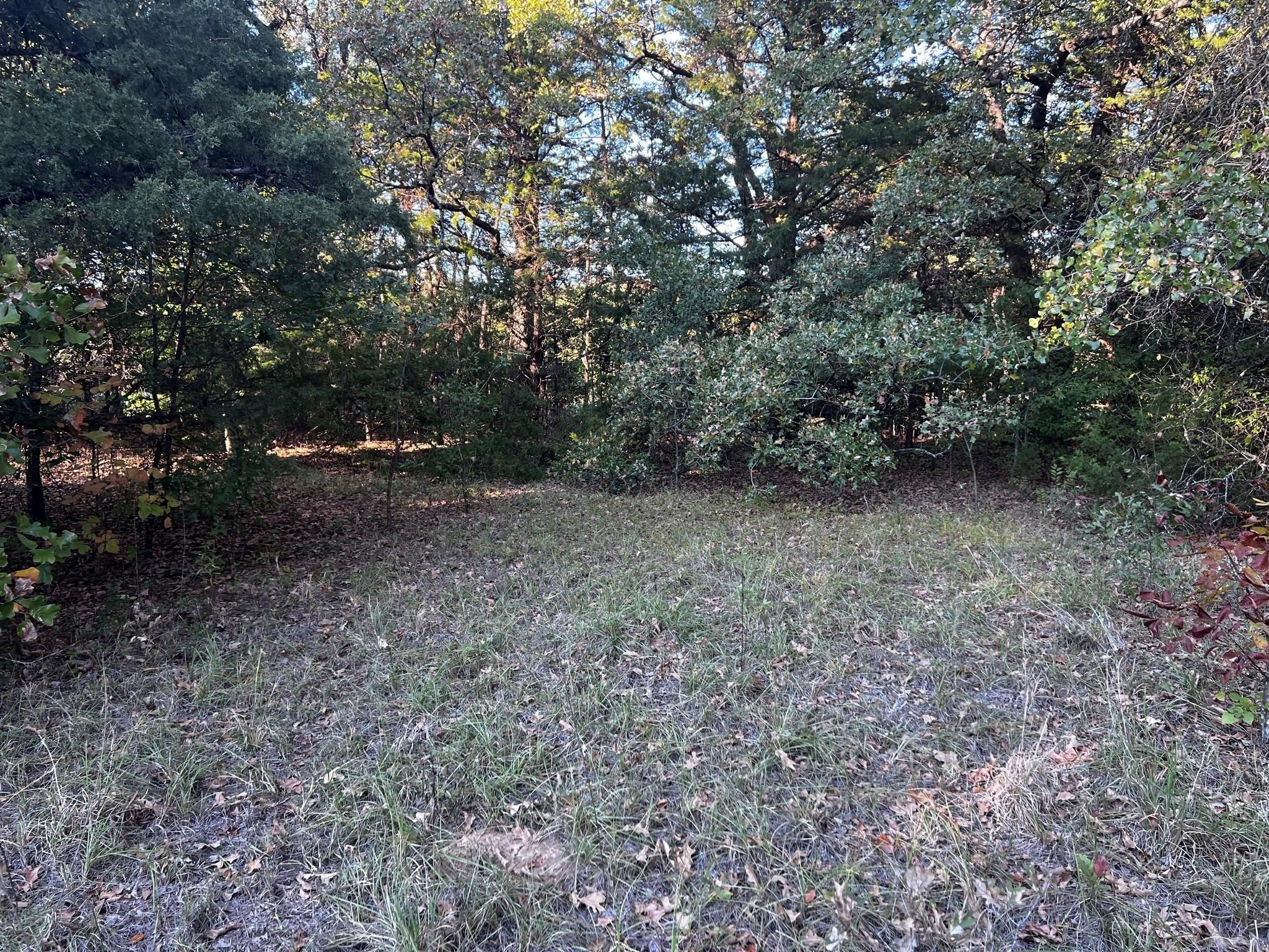 Tbd County Road 2620 Ivanhoe TX 75447