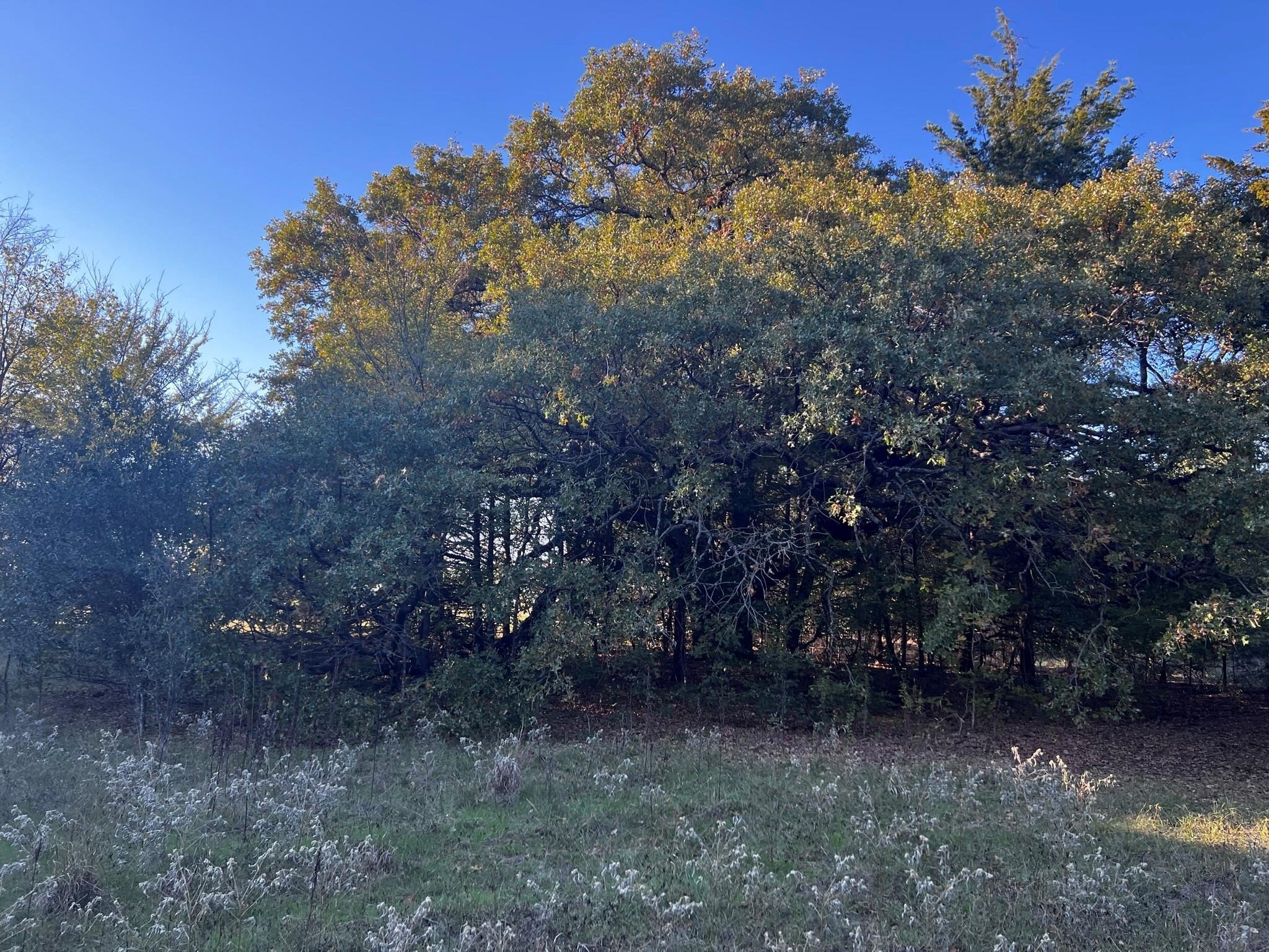 Tbd County Road 2620 Ivanhoe TX 75447
