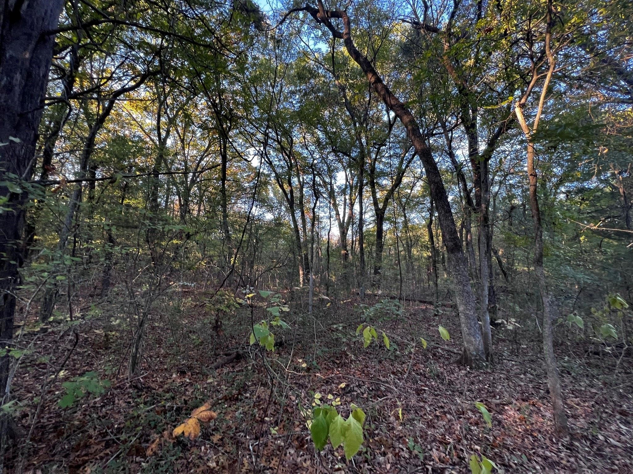 Tbd County Road 2620 Ivanhoe TX 75447