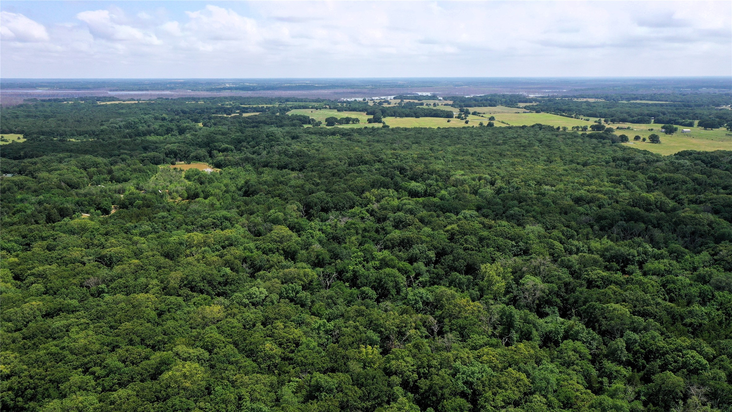 Tbd County Road 2620 Ivanhoe TX 75447