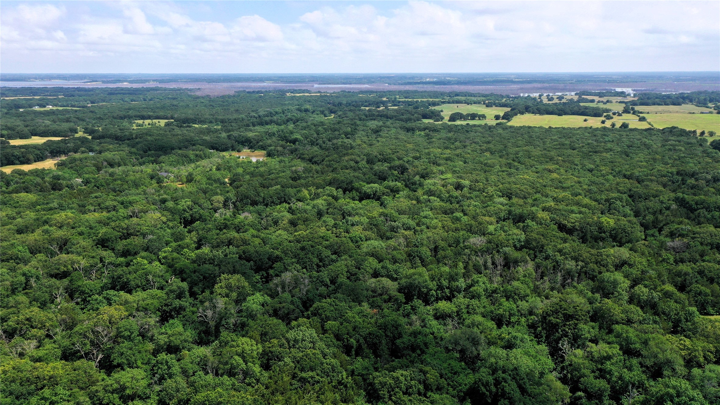 Tbd County Road 2620 Ivanhoe TX 75447