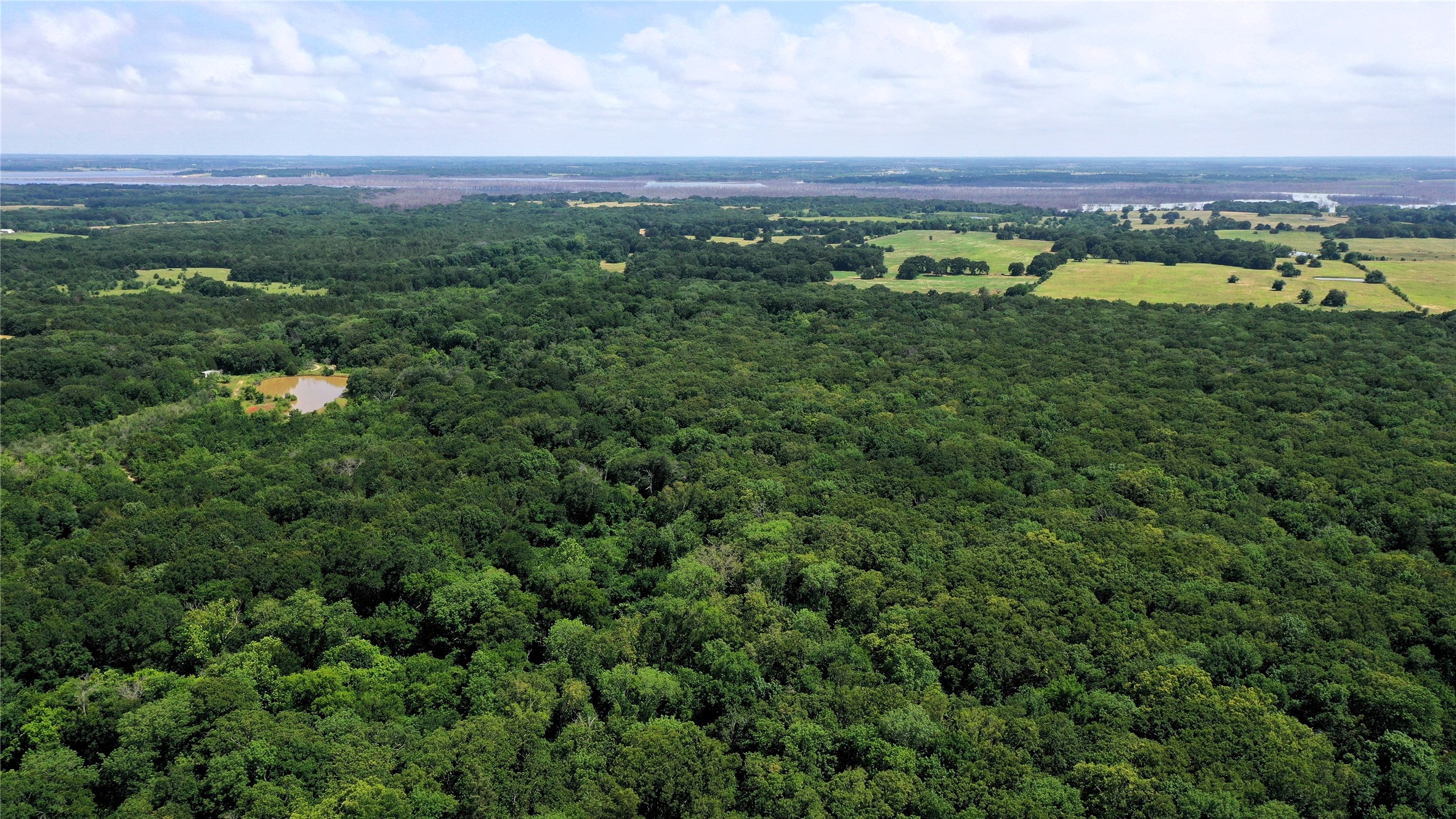 Tbd County Road 2620 Ivanhoe TX 75447