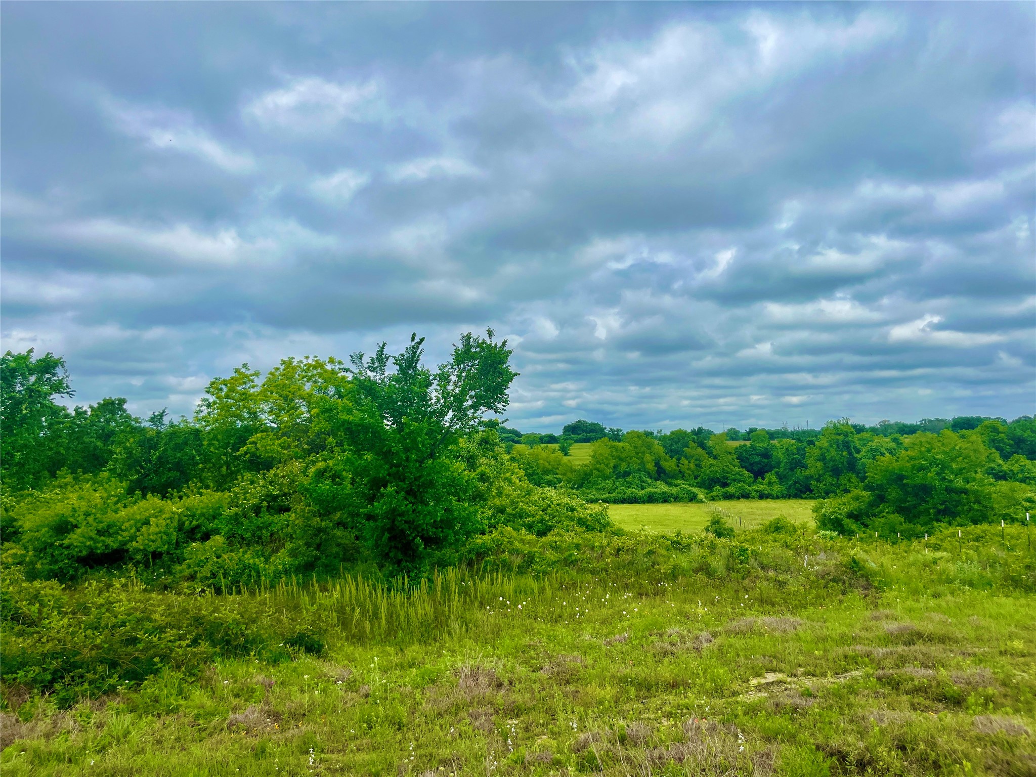 Lot 8 Clare Road Poolville TX 76487