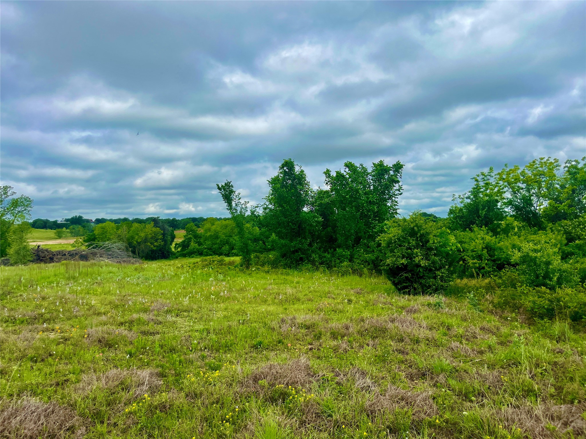 Lot 8 Clare Road Poolville TX 76487