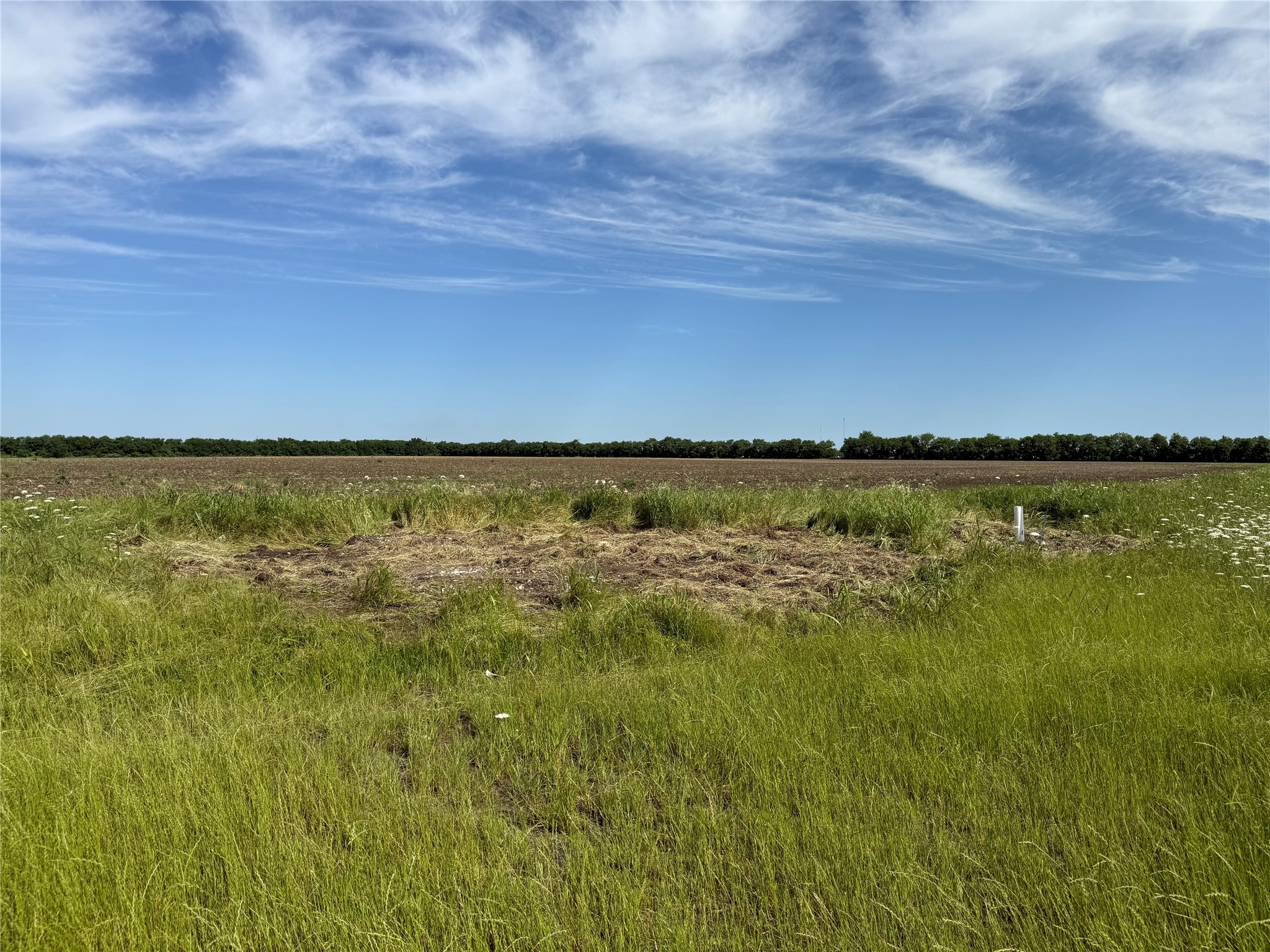 000 Fm 1396 Honey Grove TX 75446