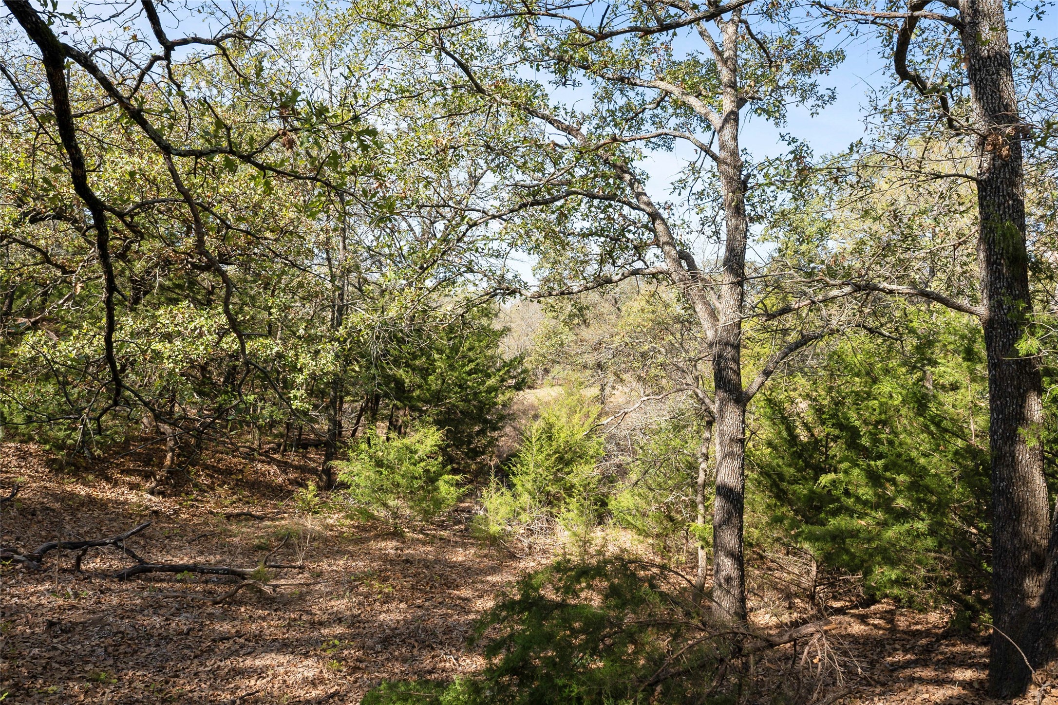 Tbd W Mcfarland Bells TX 75414