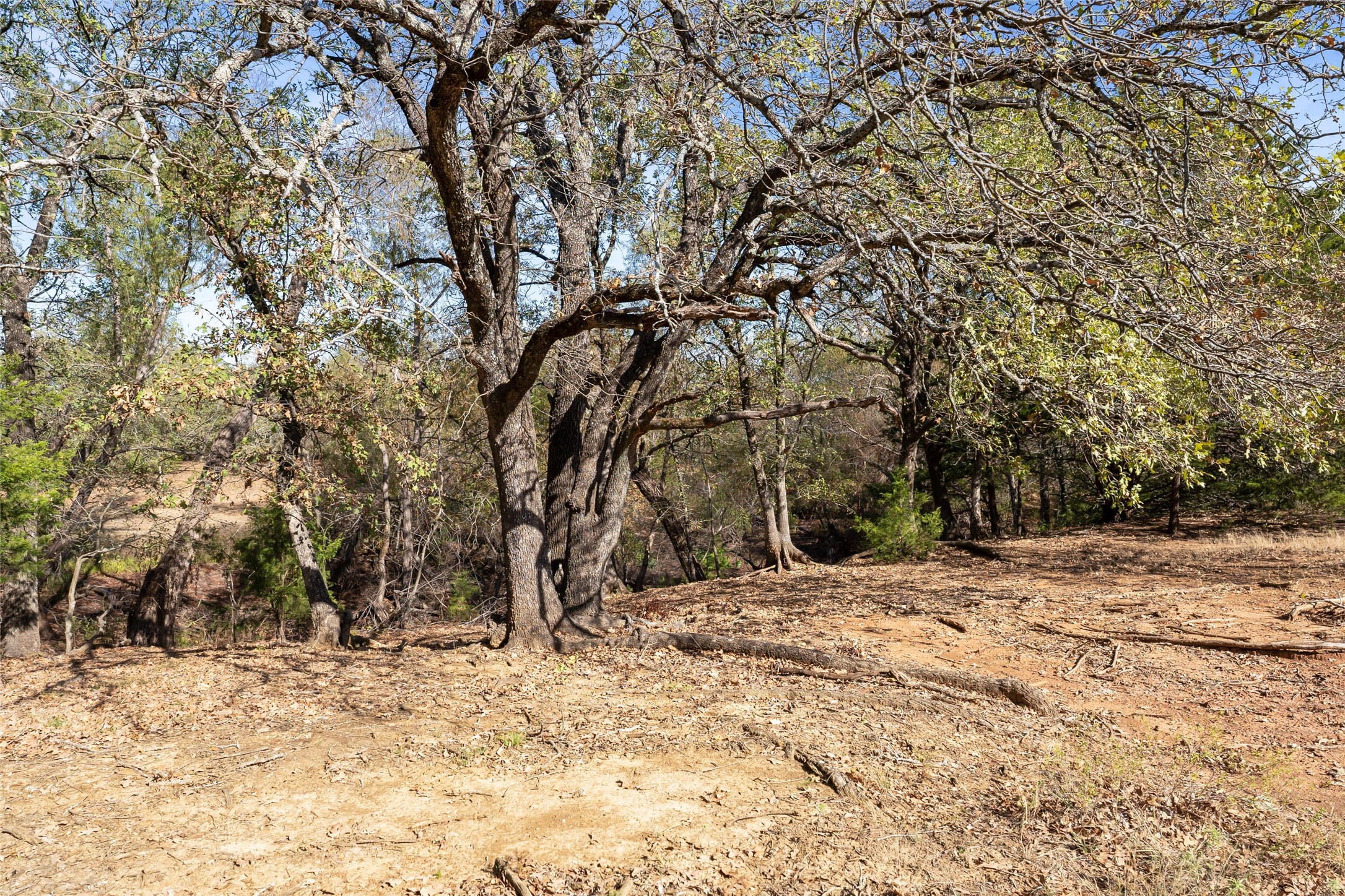 Tbd W Mcfarland Bells TX 75414