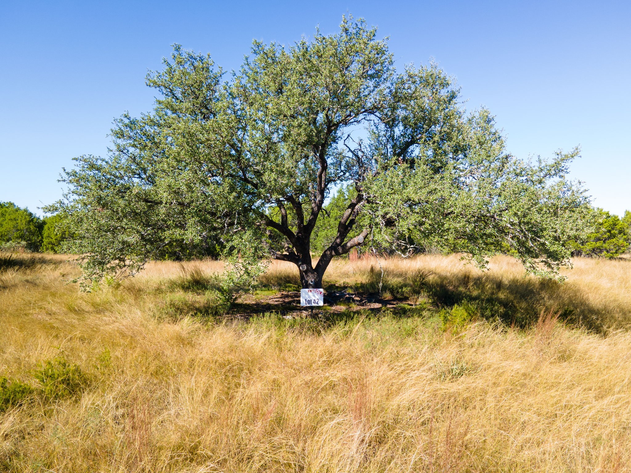 Tbd County Road 160 Evant TX 76525