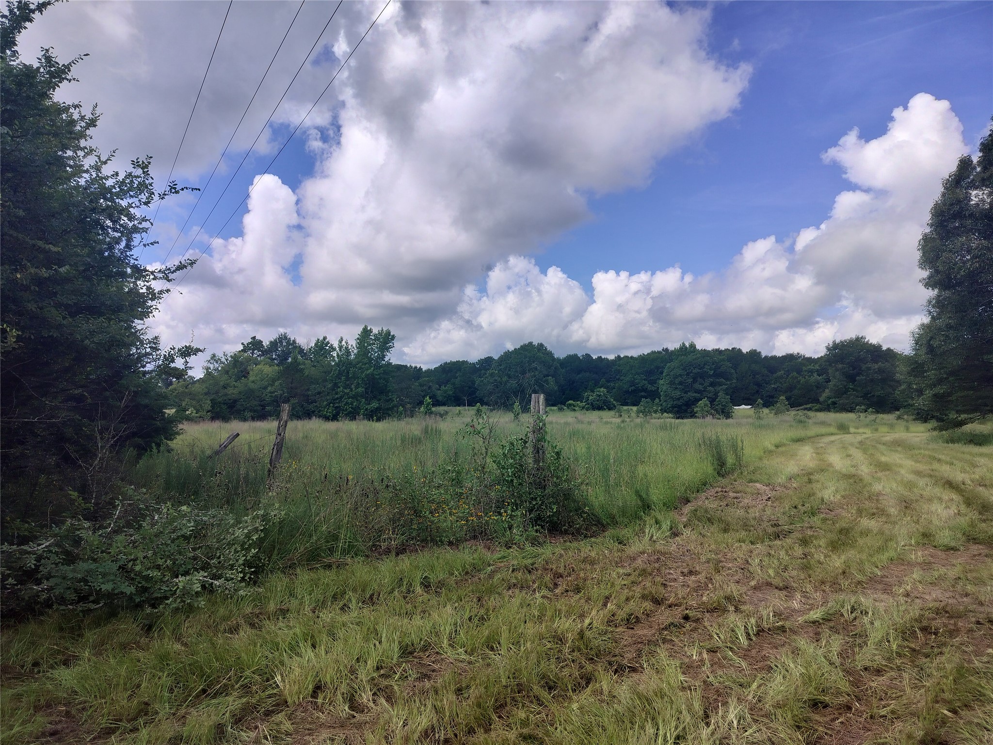 Tbd Fcr 280 Oakwood TX 75855