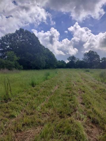 Tbd Fcr 280 Oakwood TX 75855