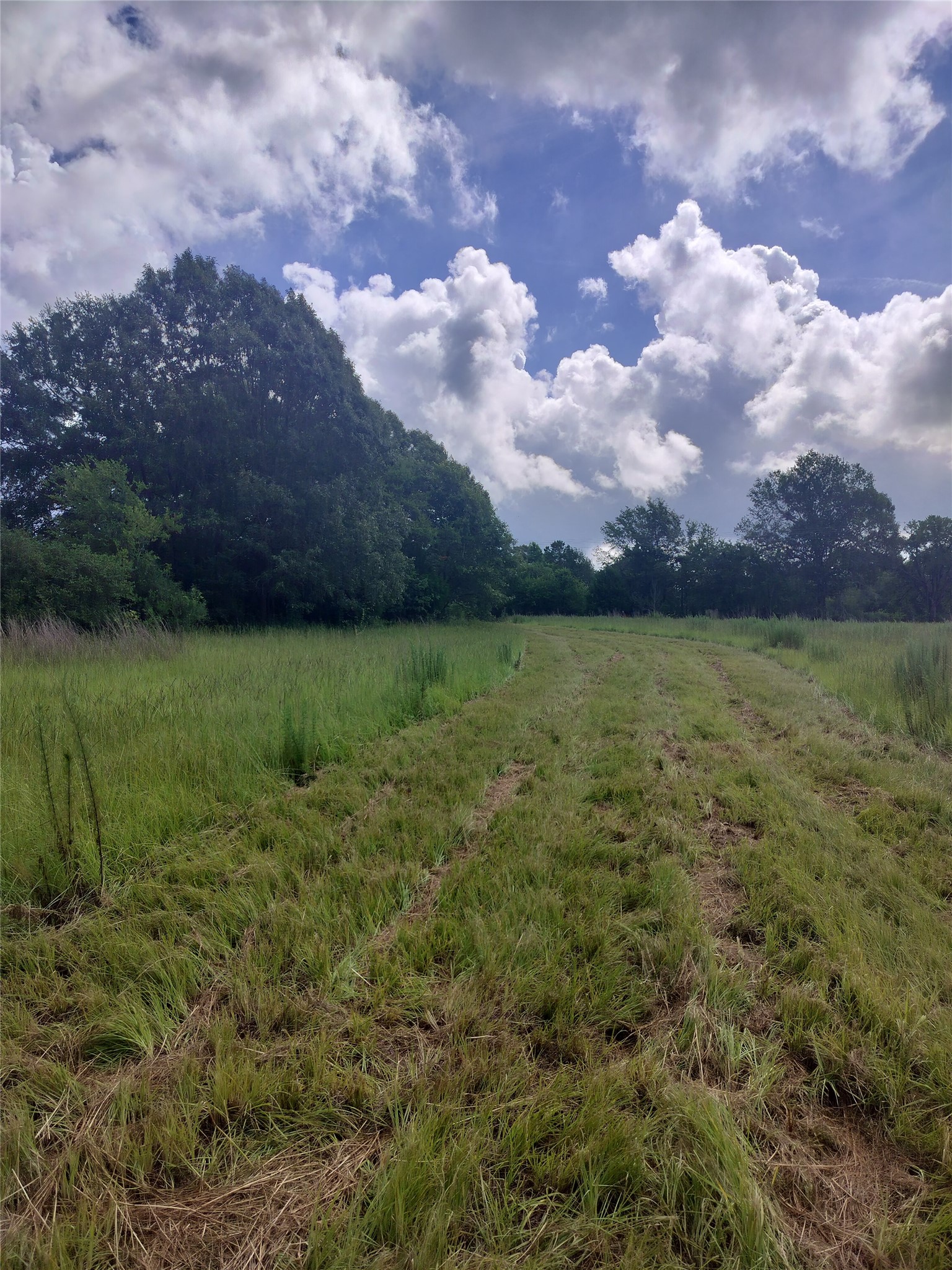 Tbd Fcr 280 Oakwood TX 75855