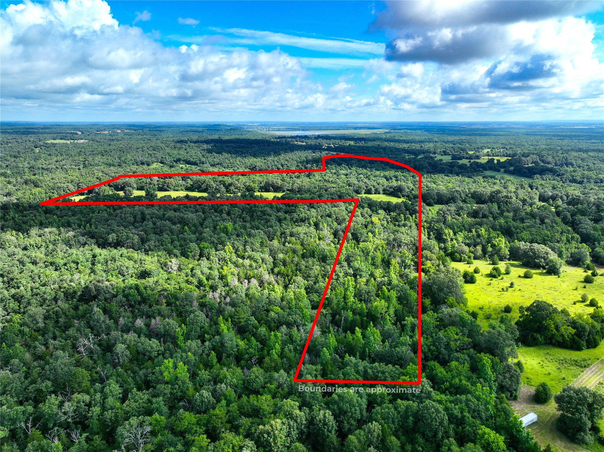 Tbd Fcr 280 Oakwood TX 75855