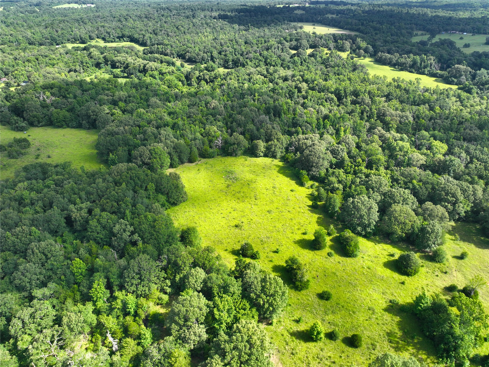 Tbd Fcr 280 Oakwood TX 75855